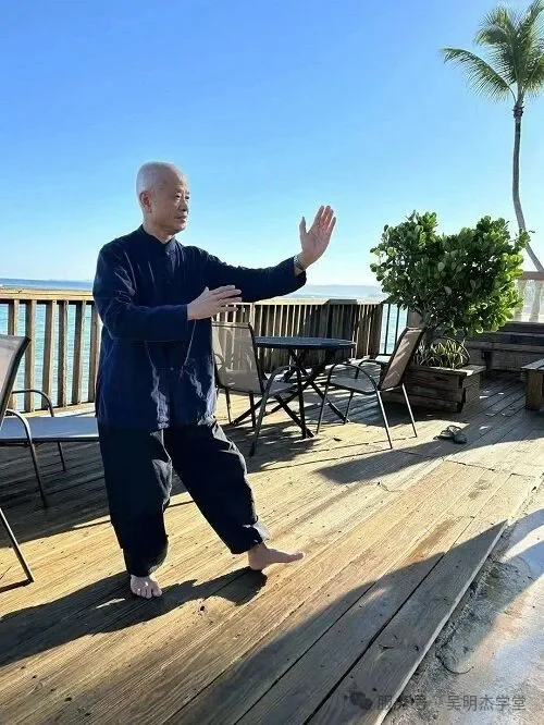 吴明杰博士打凤阳太极