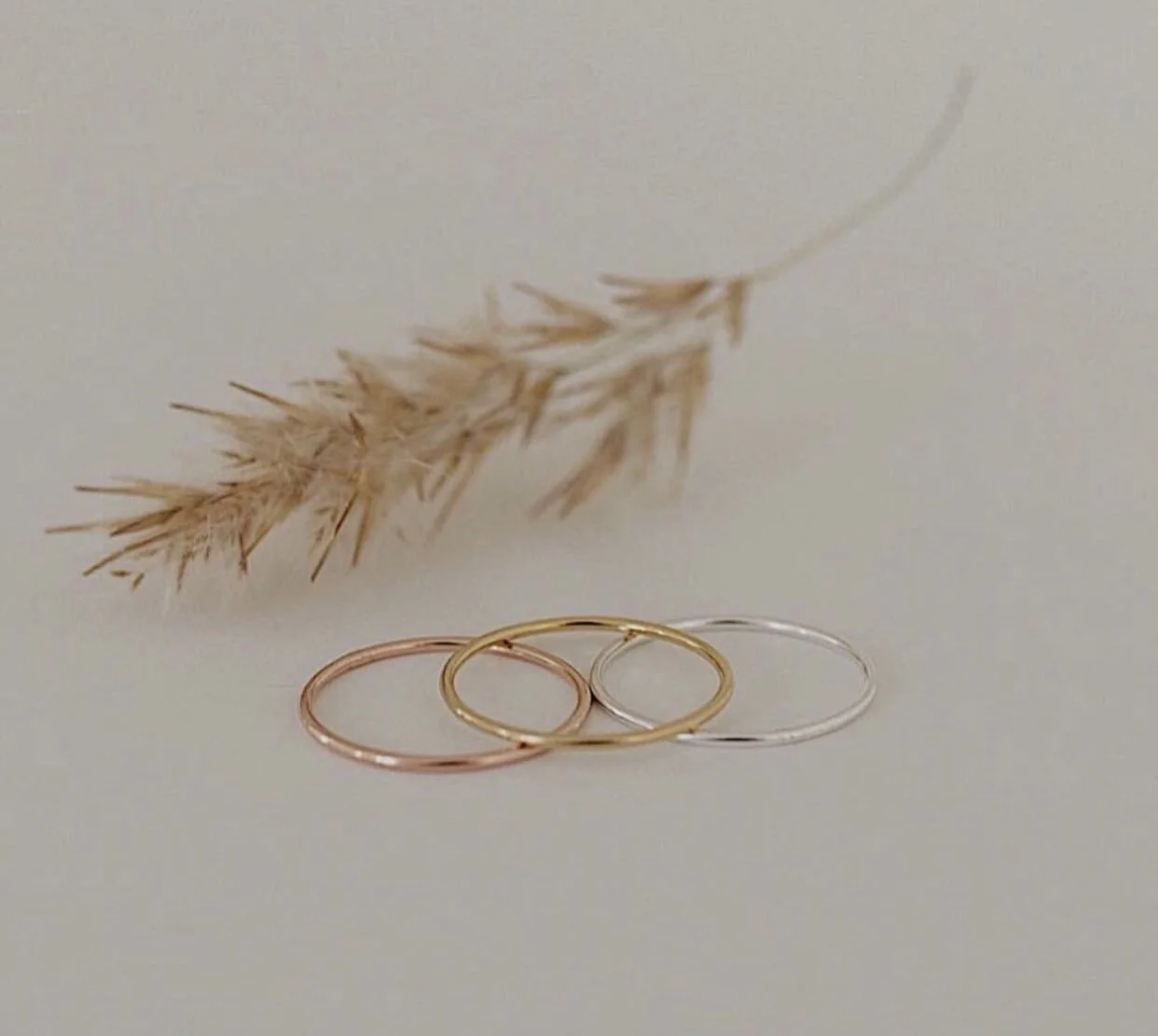 EB3C5066-7479-48F9-9246-E2502D00621B