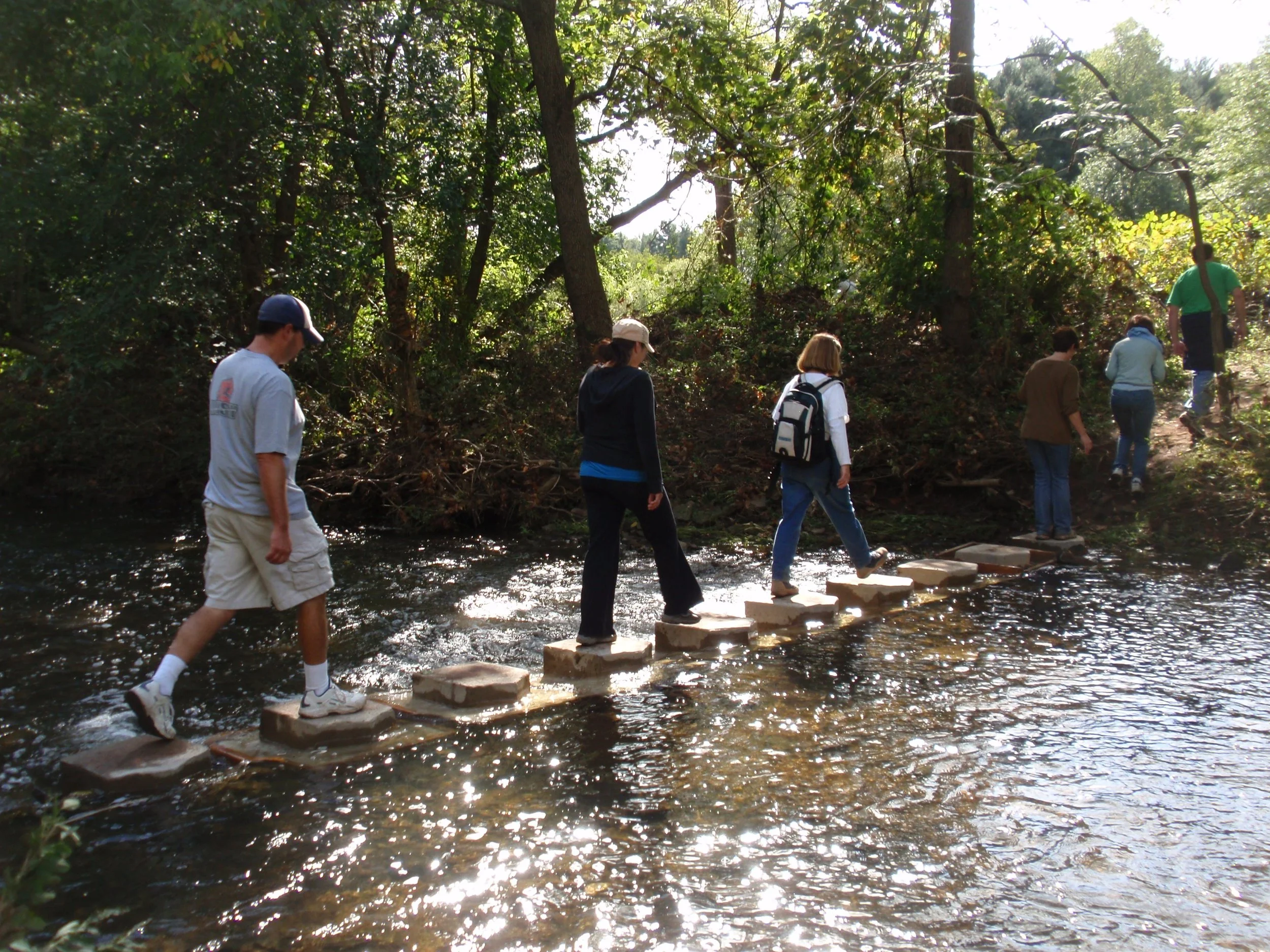 Stepping Stones 1.jpg