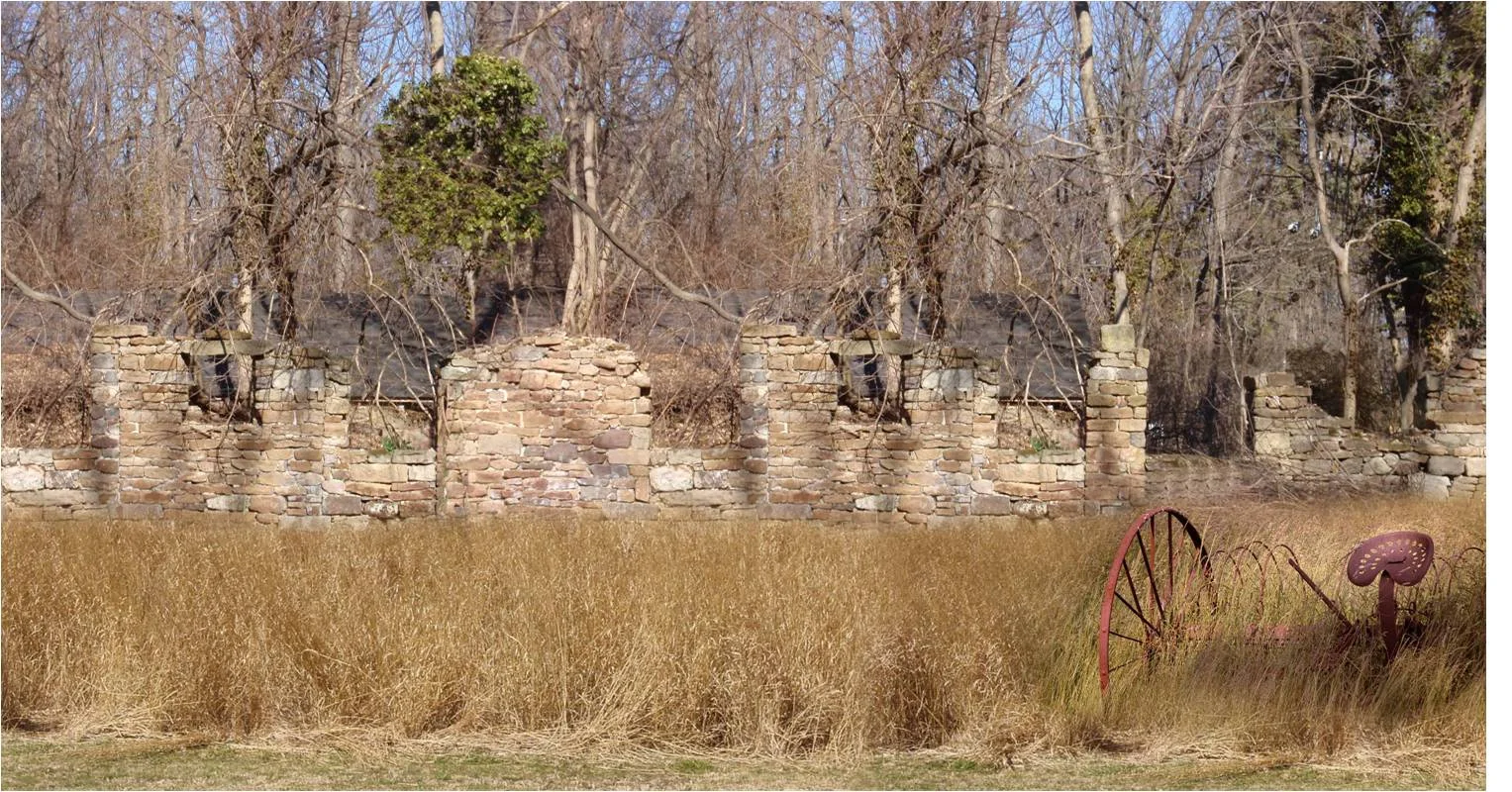 Rose Valley Preserve2.jpg