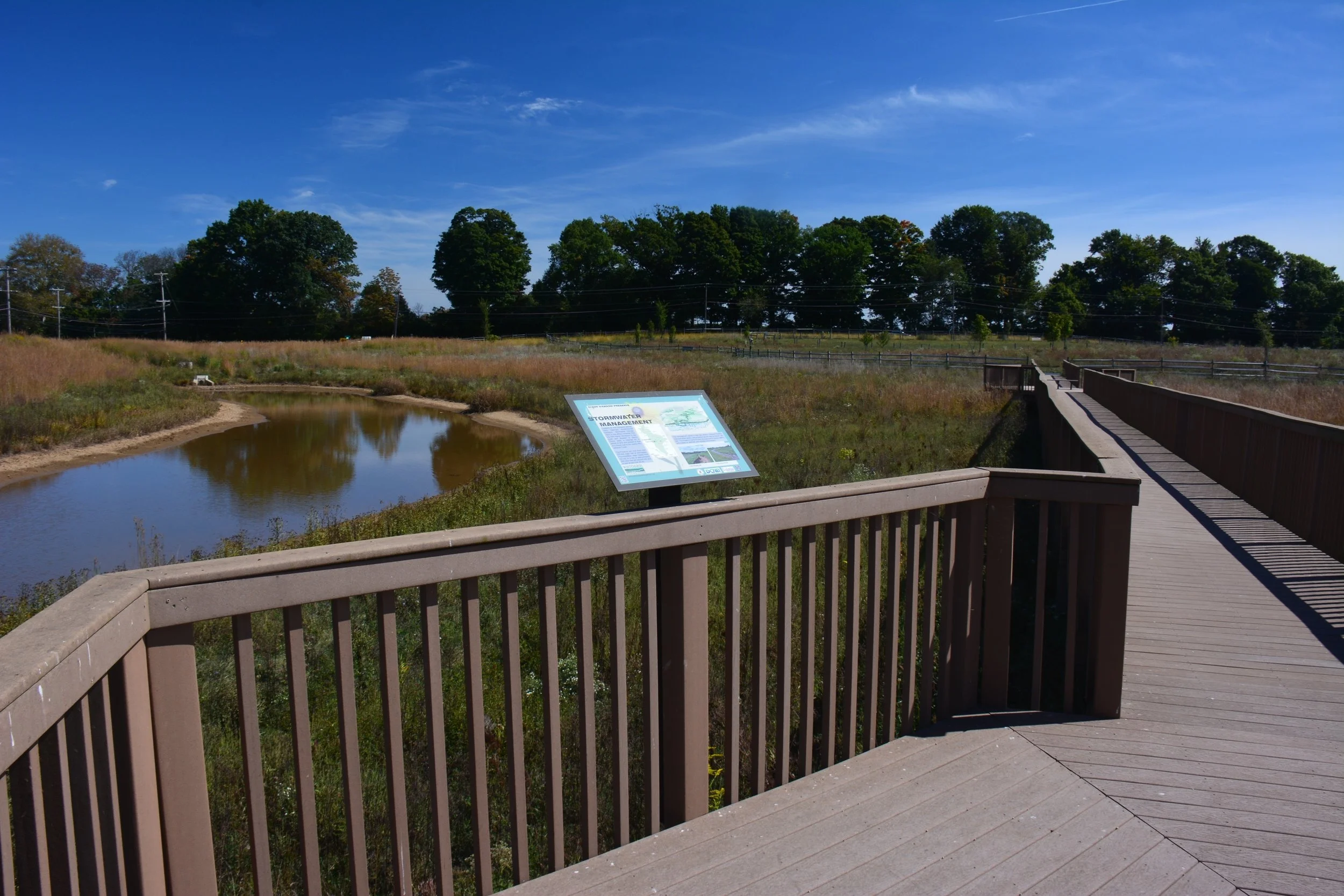 Dixon Meadow Preserve