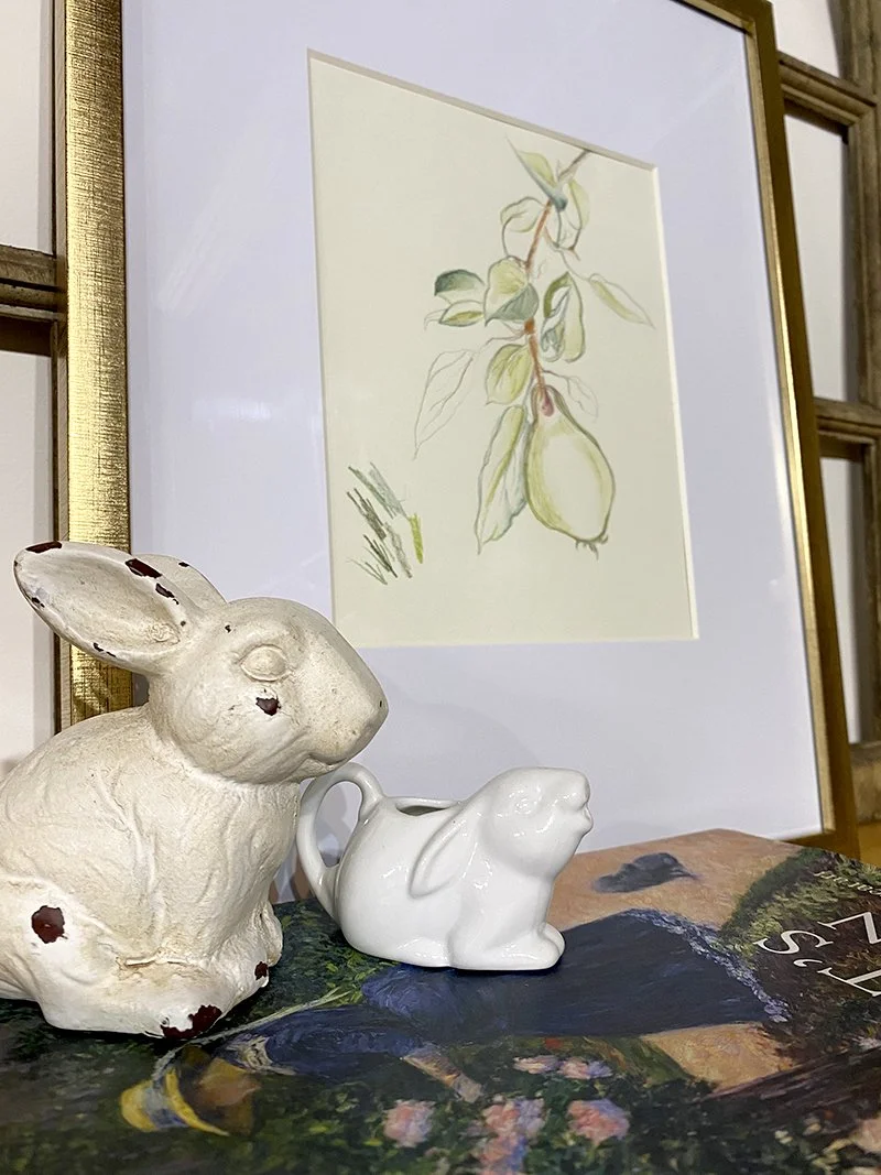 Summer Notes: A Botanical Series of Studies