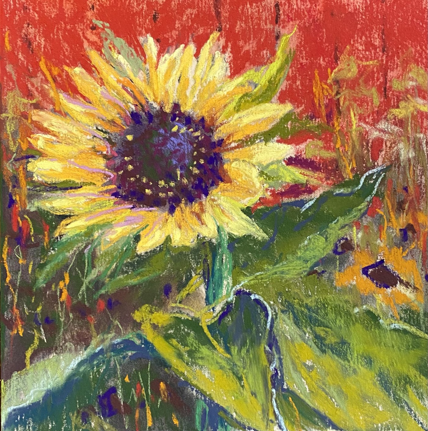 Day20_sunflowerShed-II.jpg
