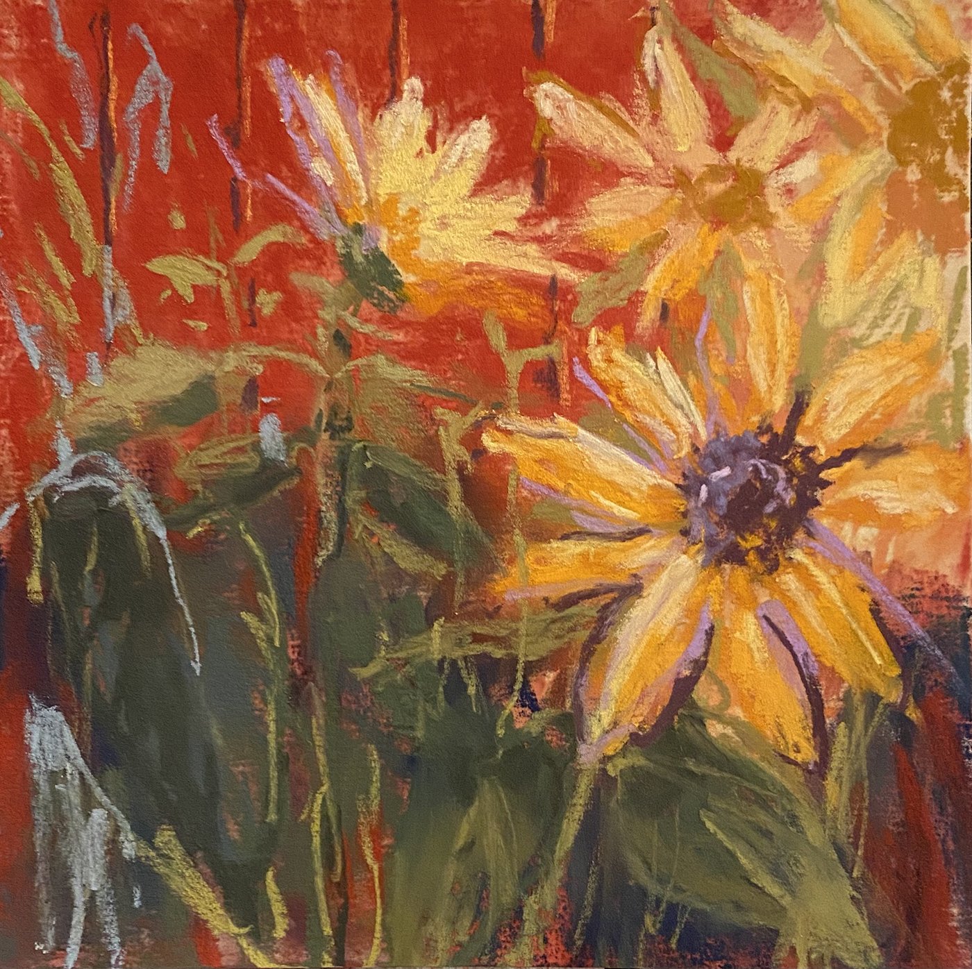 Day15-SunflowerShed_sp.jpg