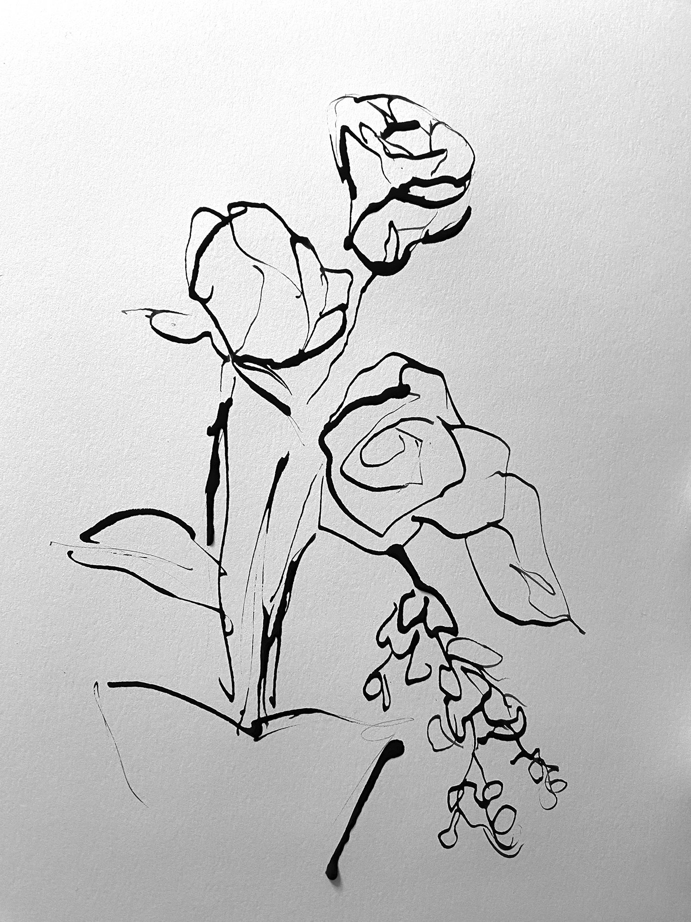 Day6_inkroses.jpg