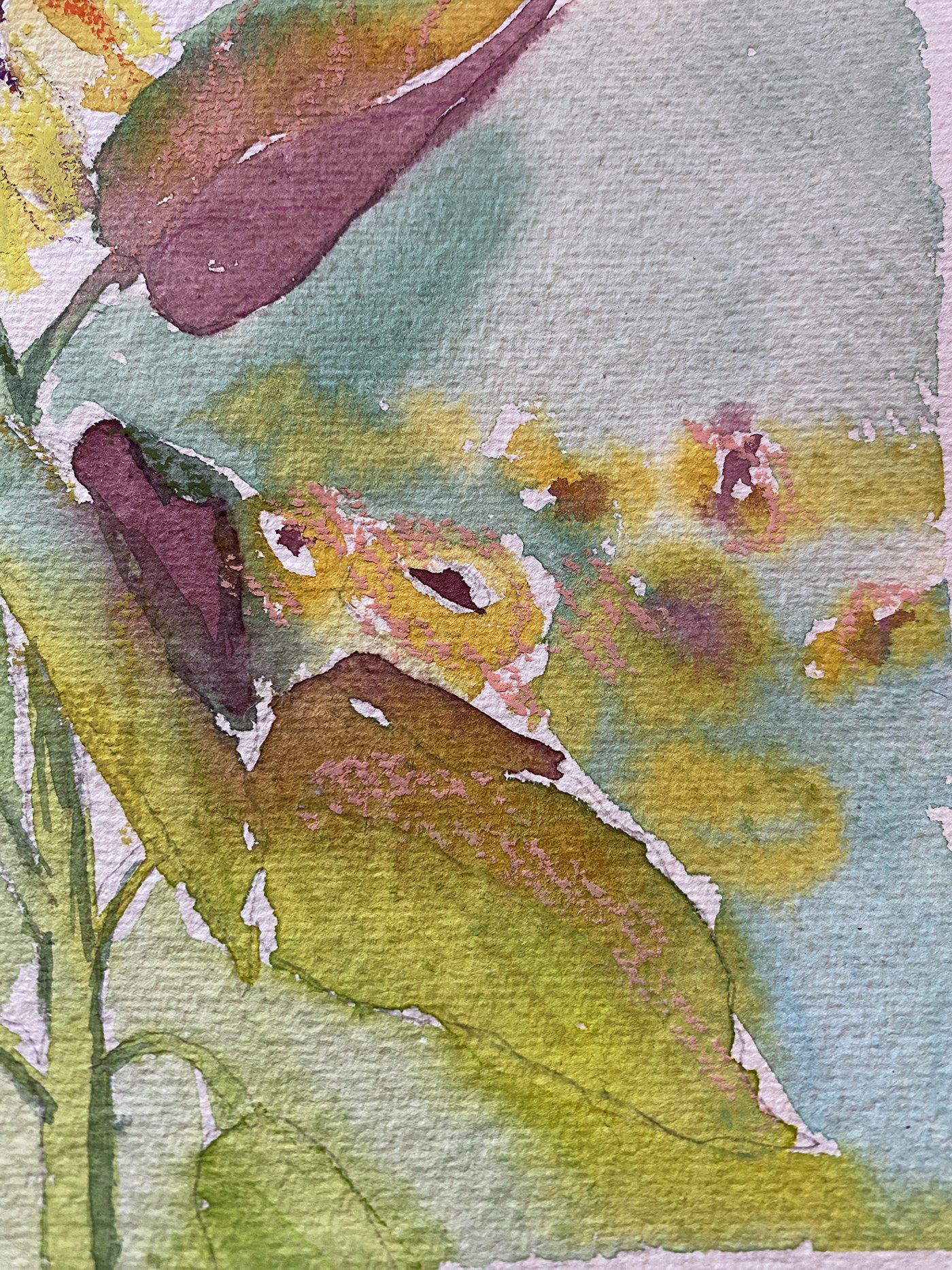 Day27-detail1.jpg