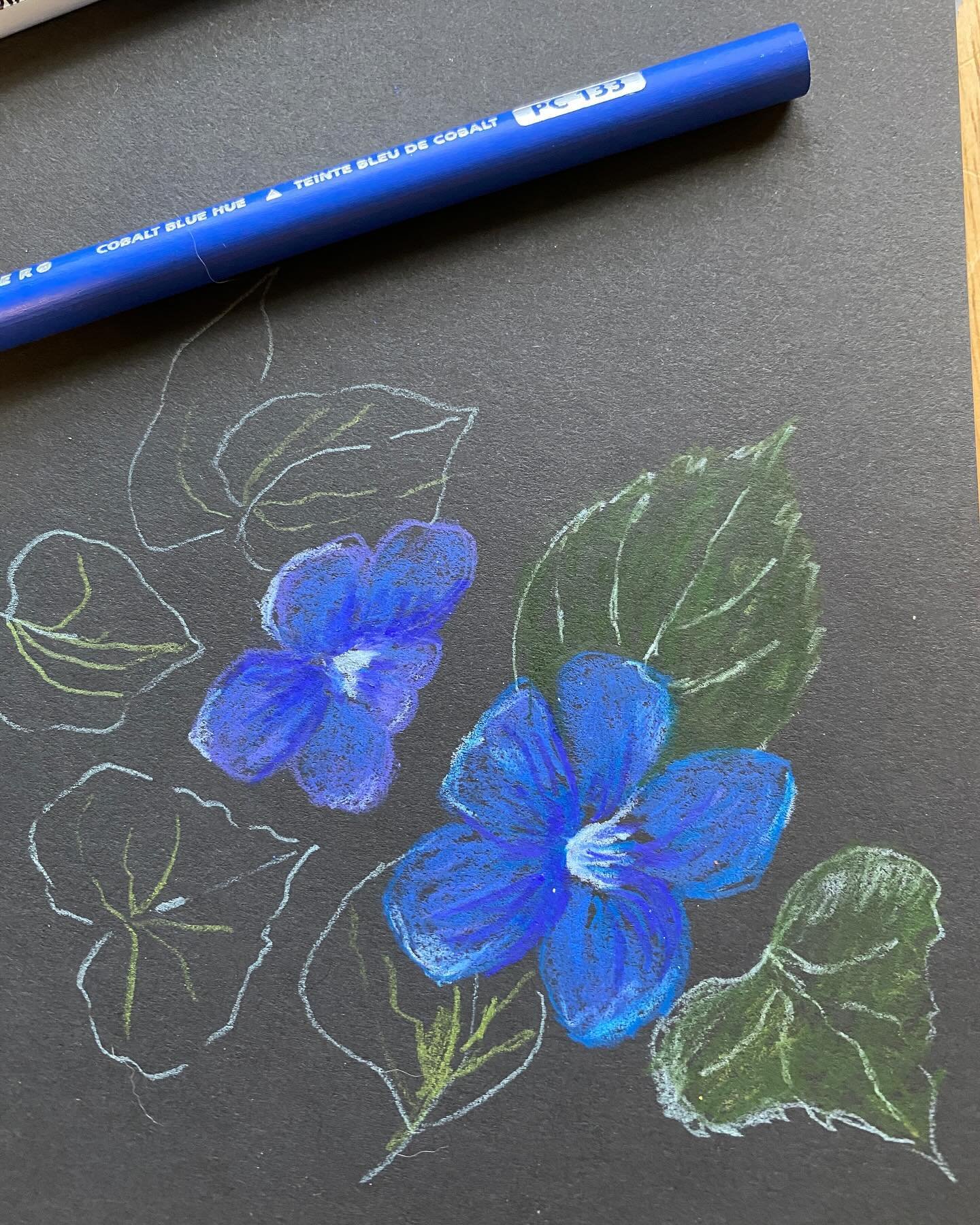 Day 55/100 #meltingpotflorals
Swipe to see who decided to play the Hokey Pokey dance this morning on my drawing😆
.
Starting to pop up all over the lawn like a royal carpet of purple and white are these violets. They are so tiny yet robust and very h