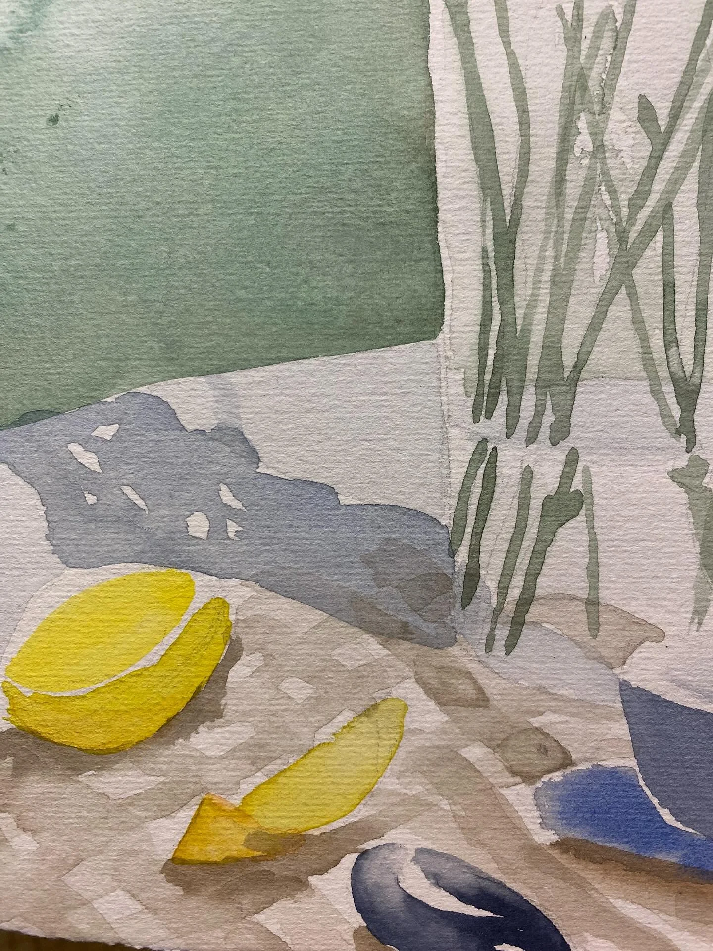 Early mornings + Still life painting = Quiet Calm.
BUT then the bottom left corner was absorbing spilled ink. I had to act fast and tear it off. Was 6.5x10, now 6.5x9.5&rdquo;😆
Winsor&amp;Newton watercolors on Arches.