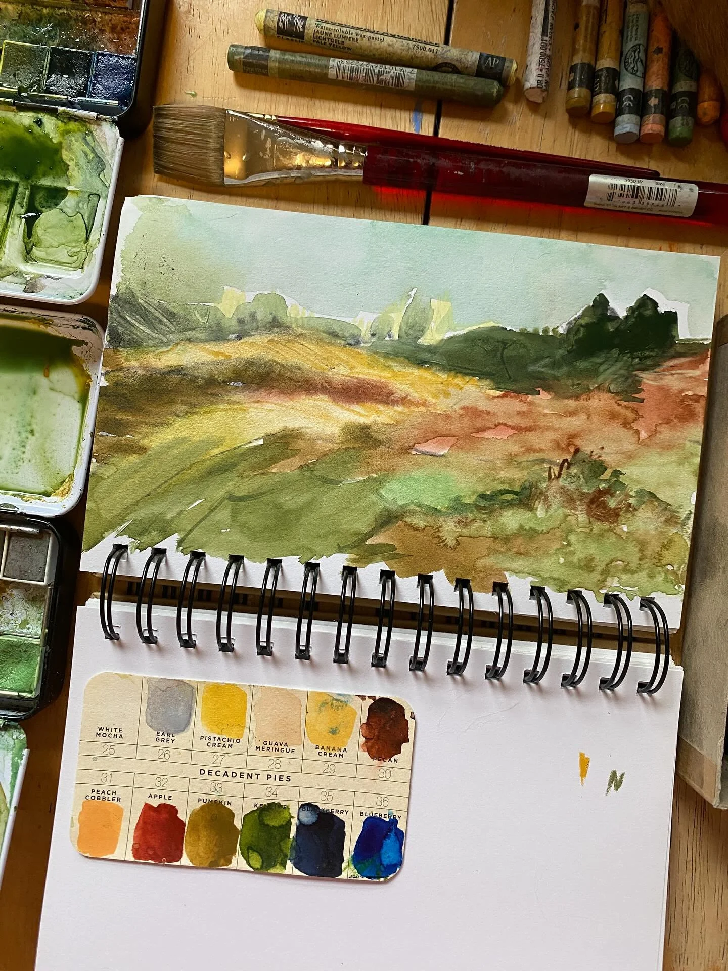This felt so good to be immersed for a moment. The sound of charcoal on paper, smudging the values in. Water spelunking. @artphilosophyco curated the best palettes! Here I&rsquo;m using the Decadent Pies and Essence palettes to create this tiny lands