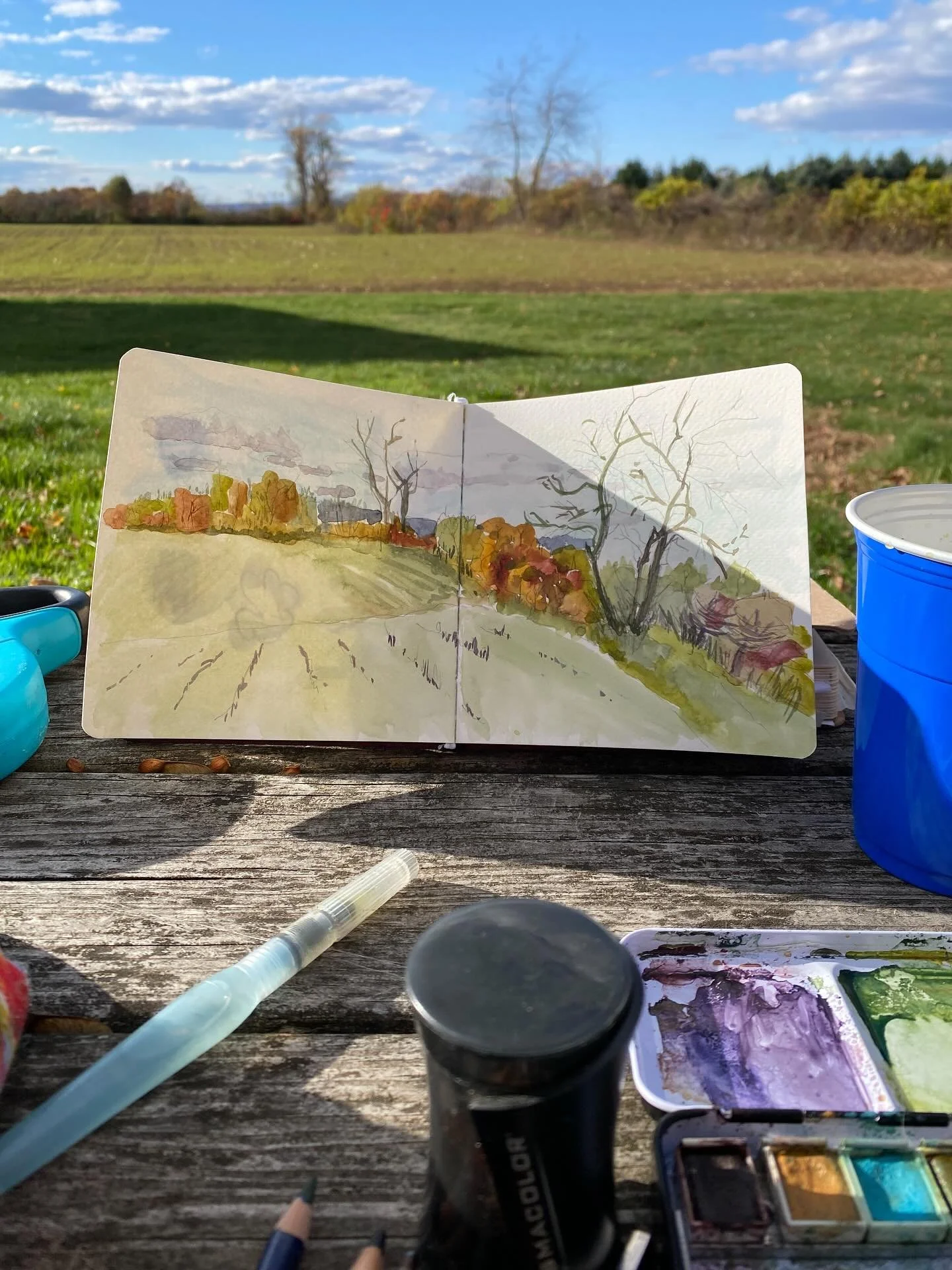 Warmth of the sun, watercolor sketches using all the green golds, yellow ochres and warm reds in the pan. A perfect fall day spent quietly.
