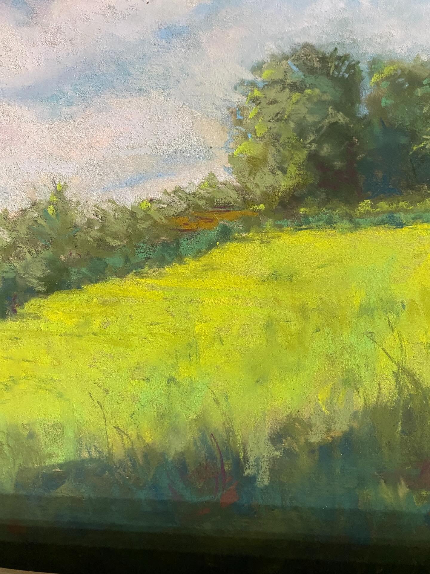 Happy Friday!!
Working on landscapes recently and enjoying the colors of these soft pastel sticks and scratching into the thick layers to achieve the smallest of details 🎨🎨🎨
My guy lives next to a wholesale nursery and the rows upon rows of trees 