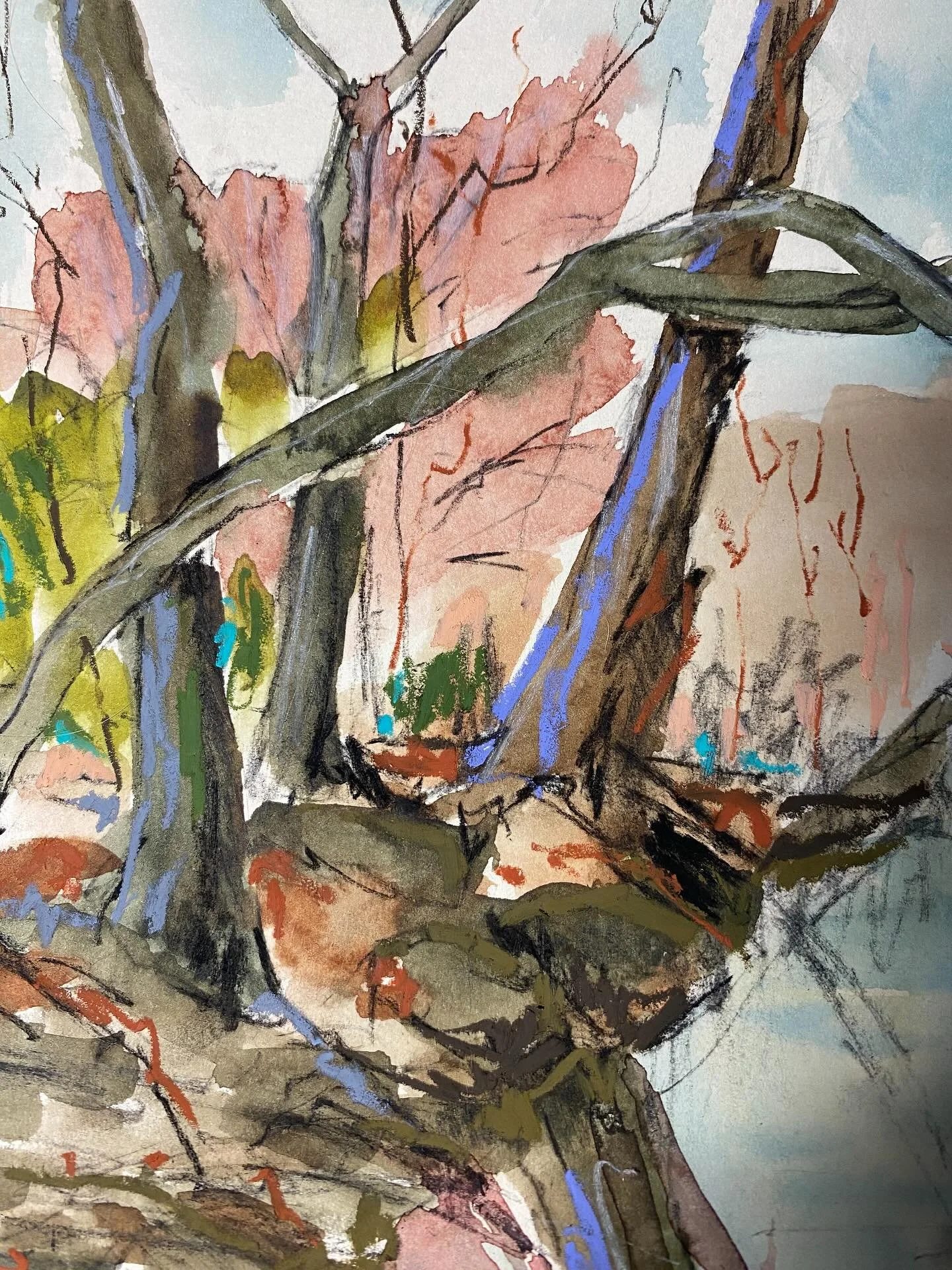 Being captivated by the trees has been a lifelong love. As kids we climbed them, played hide and seek among them and what I mostly remember is  their scent and the pine sap on my hands. It was the most fun and those were good days. 
. 
Fast forward a