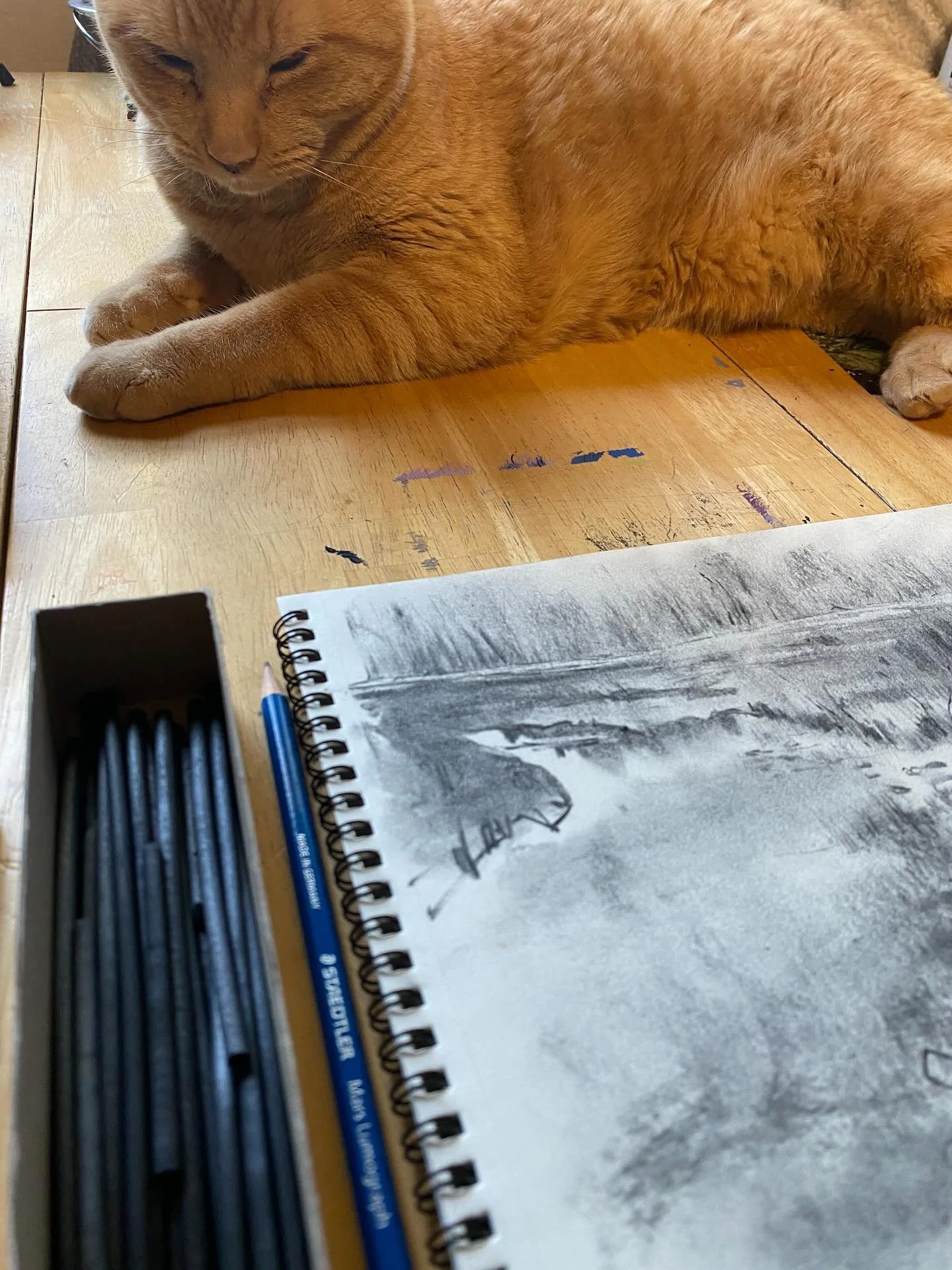 &ldquo;A cat has absolute emotional honesty: human beings, for one reason or another, may hide their feelings, but a cat does not.&rdquo; &ndash; Ernest Hemingway
.
Elias. He wandered over from the neighbor&rsquo;s farm to our house 6 years ago. At 7