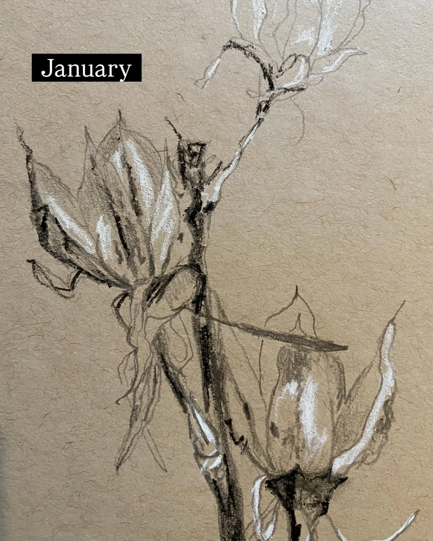 This year I craved more softness.
A slowing down.
Releasing the overwhelm.
Reading more.
Movie-watching.
Drawing.
Teaching.
Painting.
Mothering.
Walks with my person.
May 2026 be more of these beautiful moments. 
May your 2026 be filled with more sof