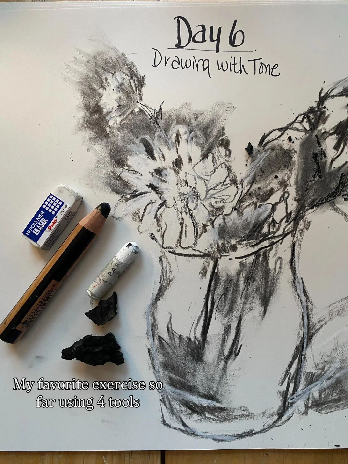 I am doing the #drawwithdebbie2026 30-day challenge with @drawwithdebbie and this is stretching me in so many ways.
Day 6 is my favorite approach so far. Using homemade charcoal from our fire pit this weekend, oil pastel, a woody pencil and eraser. I