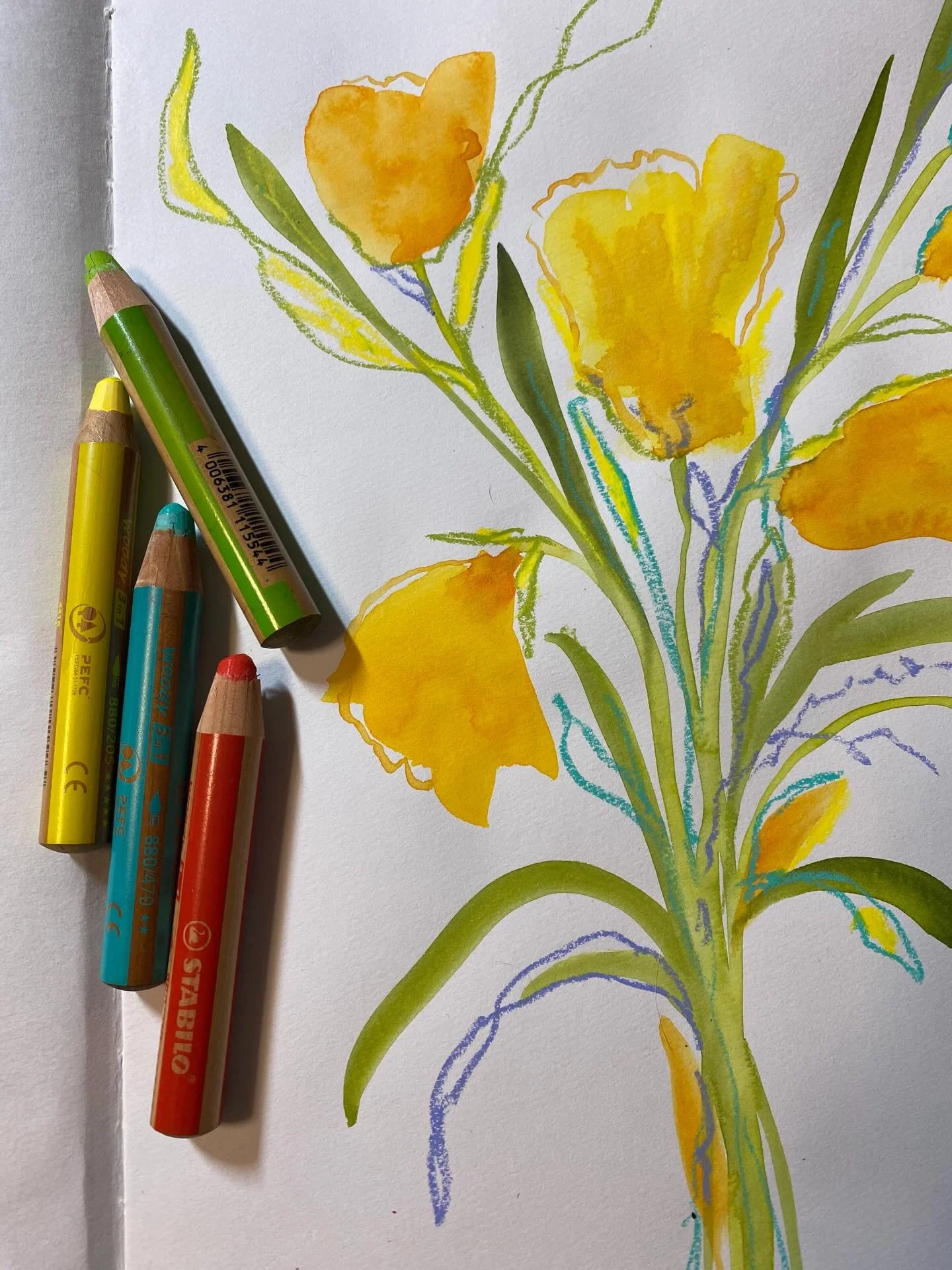 While at a local museum shop on Saturday, I picked up a giant A3 sketchbook with hopes of drawing all day during Sunday&rsquo;s snow storm. But in the wake of the news I just couldn&rsquo;t, I was heartbroken and paralyzed, like what is happening? It