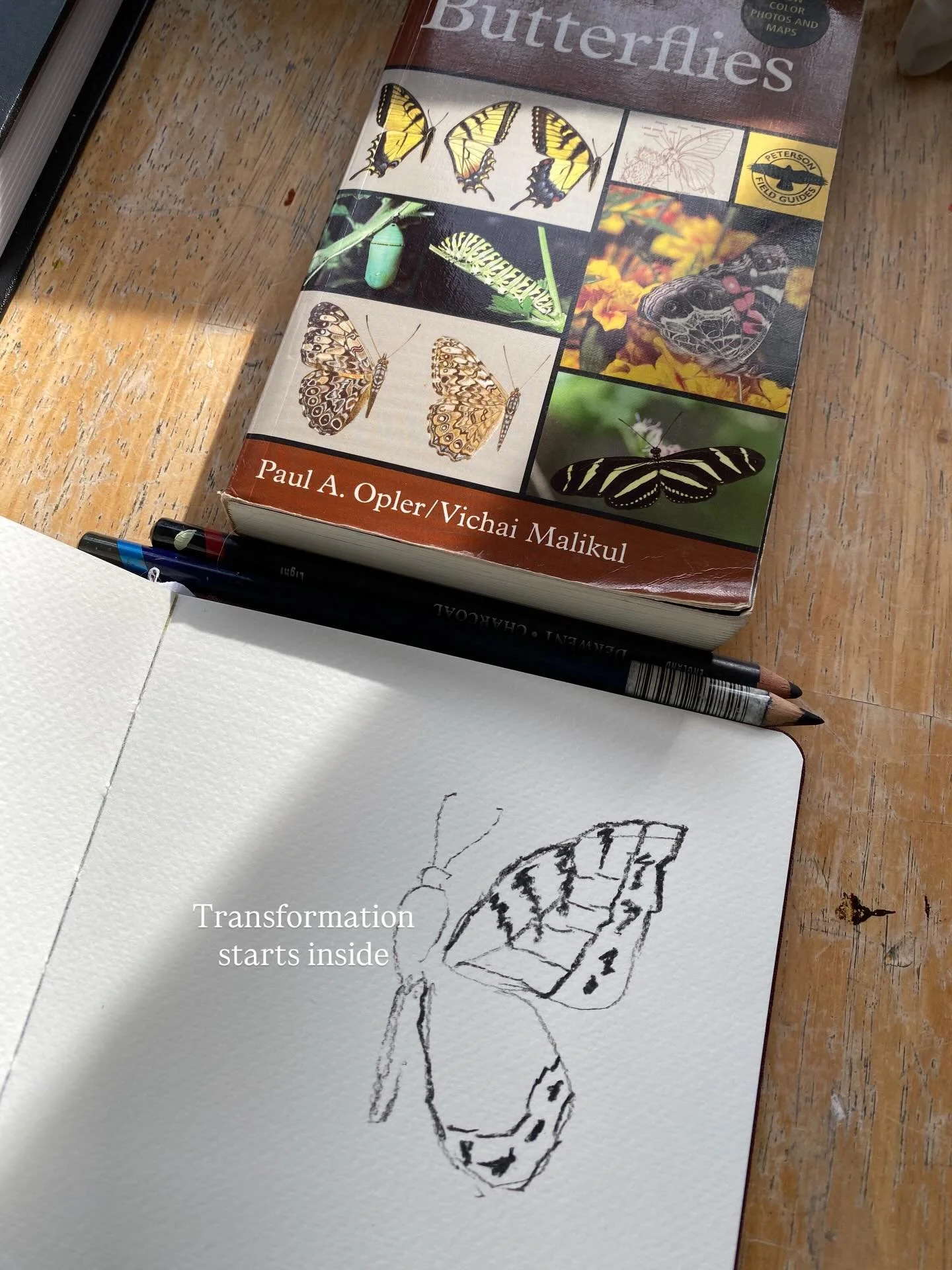 Transformation. Sketching my way through this idea and now I&rsquo;ve seen it everywhere&hellip;quotes, memes, news. Does that happen to you too? I&rsquo;ve recently read a quote that transformation happens inside out. So, the butterfly idea is perfe