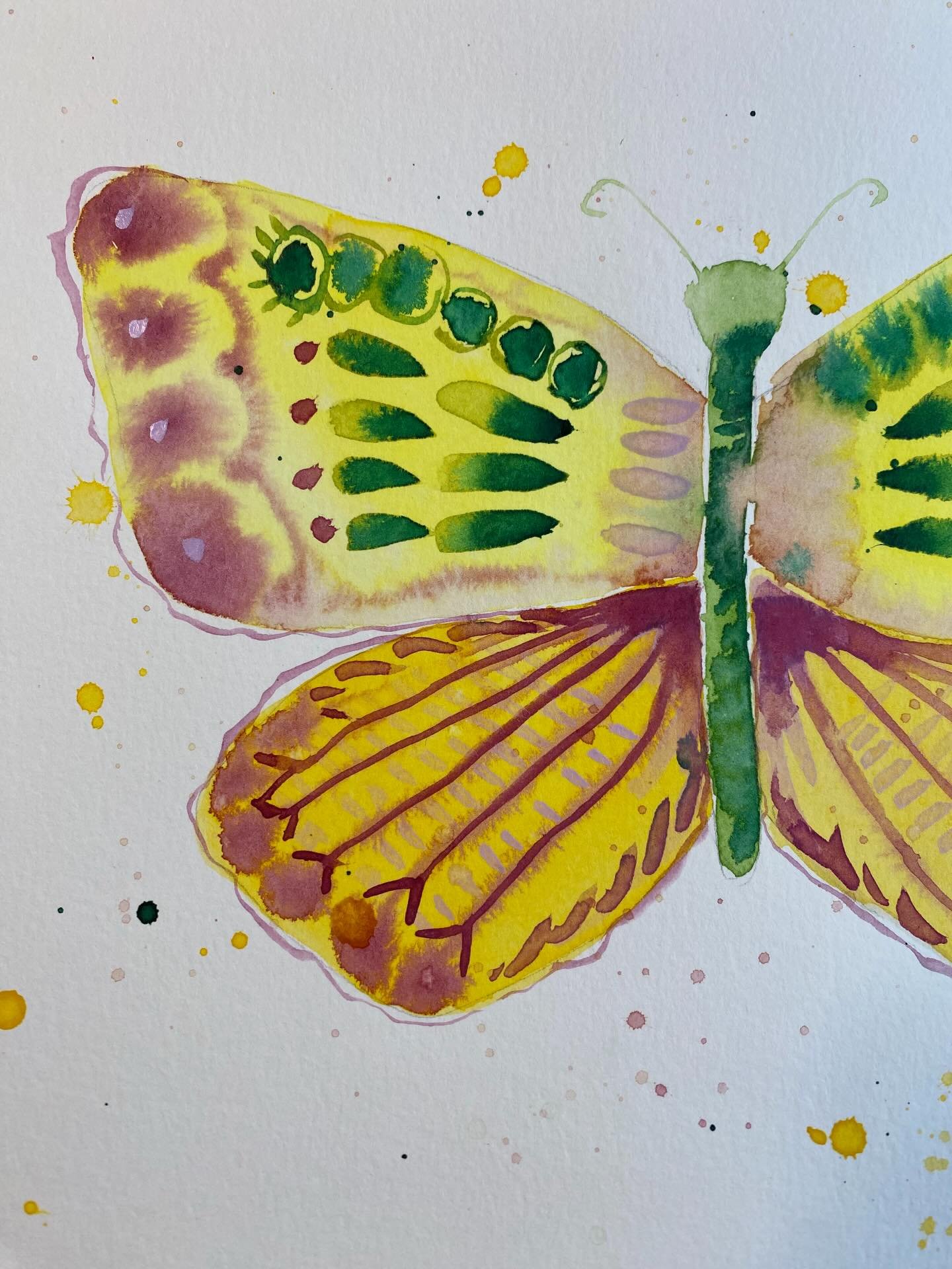 Luc

Day 24/100
#the100dayproject 
#the100dayproject2026

Each butterfly encounter in this series will be named after a person who passed through the veil and continues to be there in someone&rsquo;s life.

The story below is shared by one of my beau