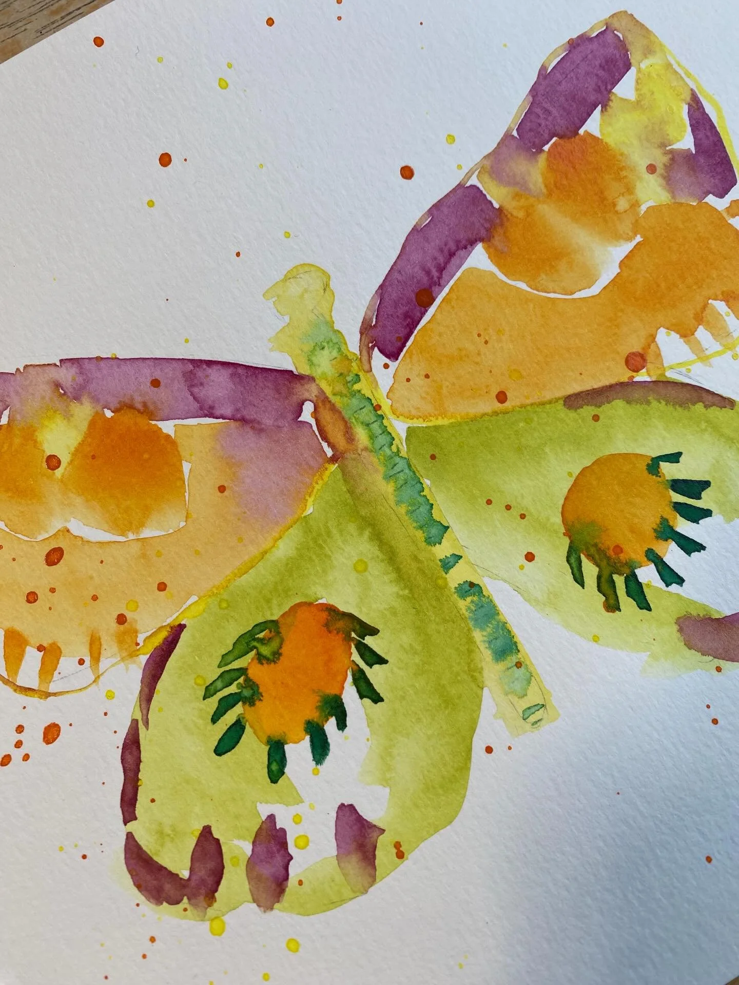 Mike 

Day 25/100
#the100dayproject 
#the100dayproject2026

Each butterfly encounter in this series will be named after a person who passed and continues to be there in someone&rsquo;s life.

The quote below is shared by one of my followers and frien