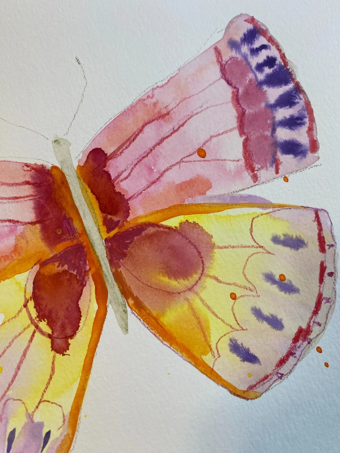 Angel

Day 26/100
#the100dayproject 
#the100dayproject2026

Each butterfly encounter in this series will be named after a person who passed and continues to be there in someone&rsquo;s life.

The story below is shared by one of my beautiful followers