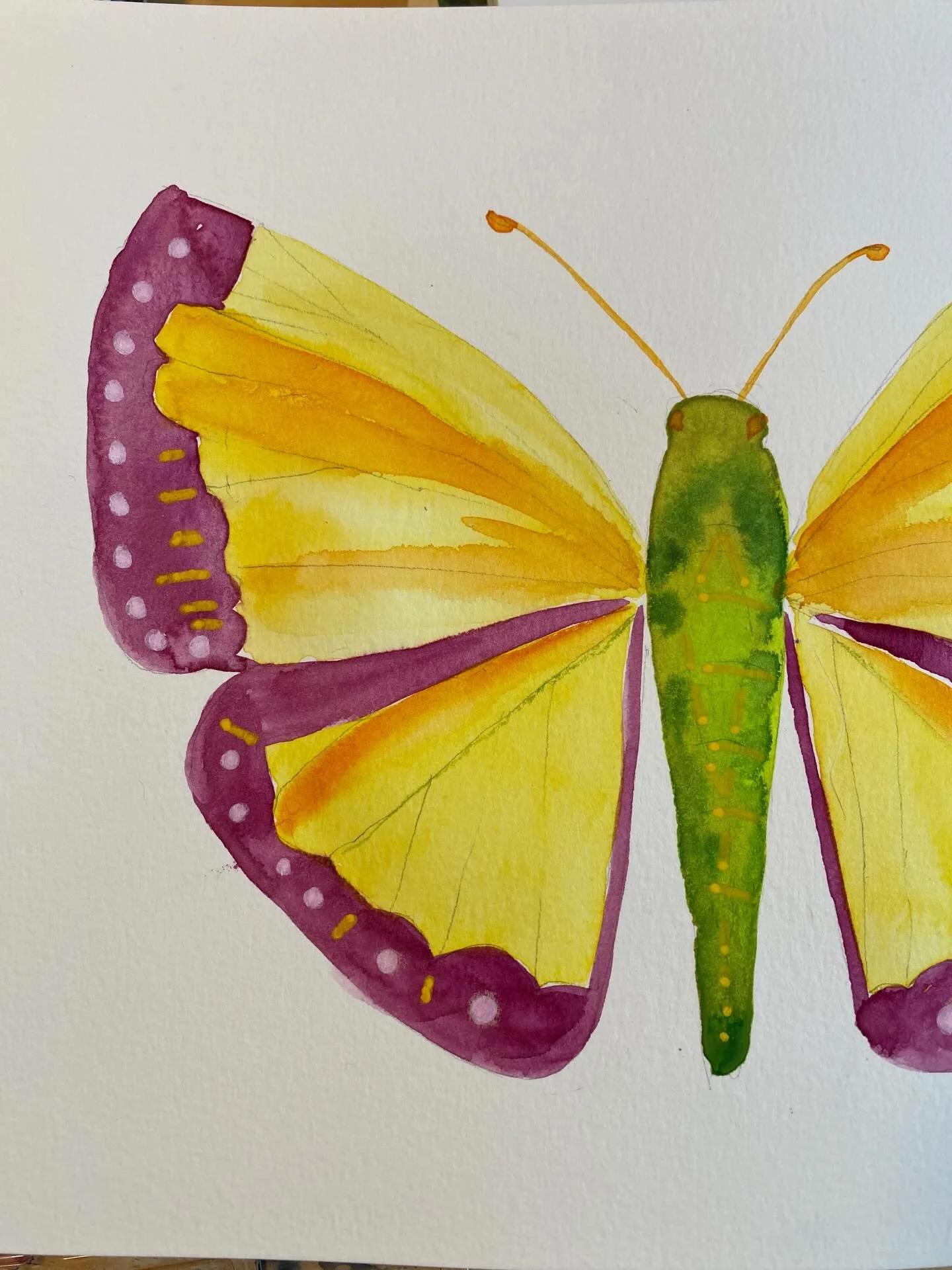 Angel baby Ariel

Day 26/100
#the100dayproject 
#the100dayproject2026

Each butterfly encounter in this series will be named after a person who passed and continues to be there in someone&rsquo;s life.

The following message was shared by a very good