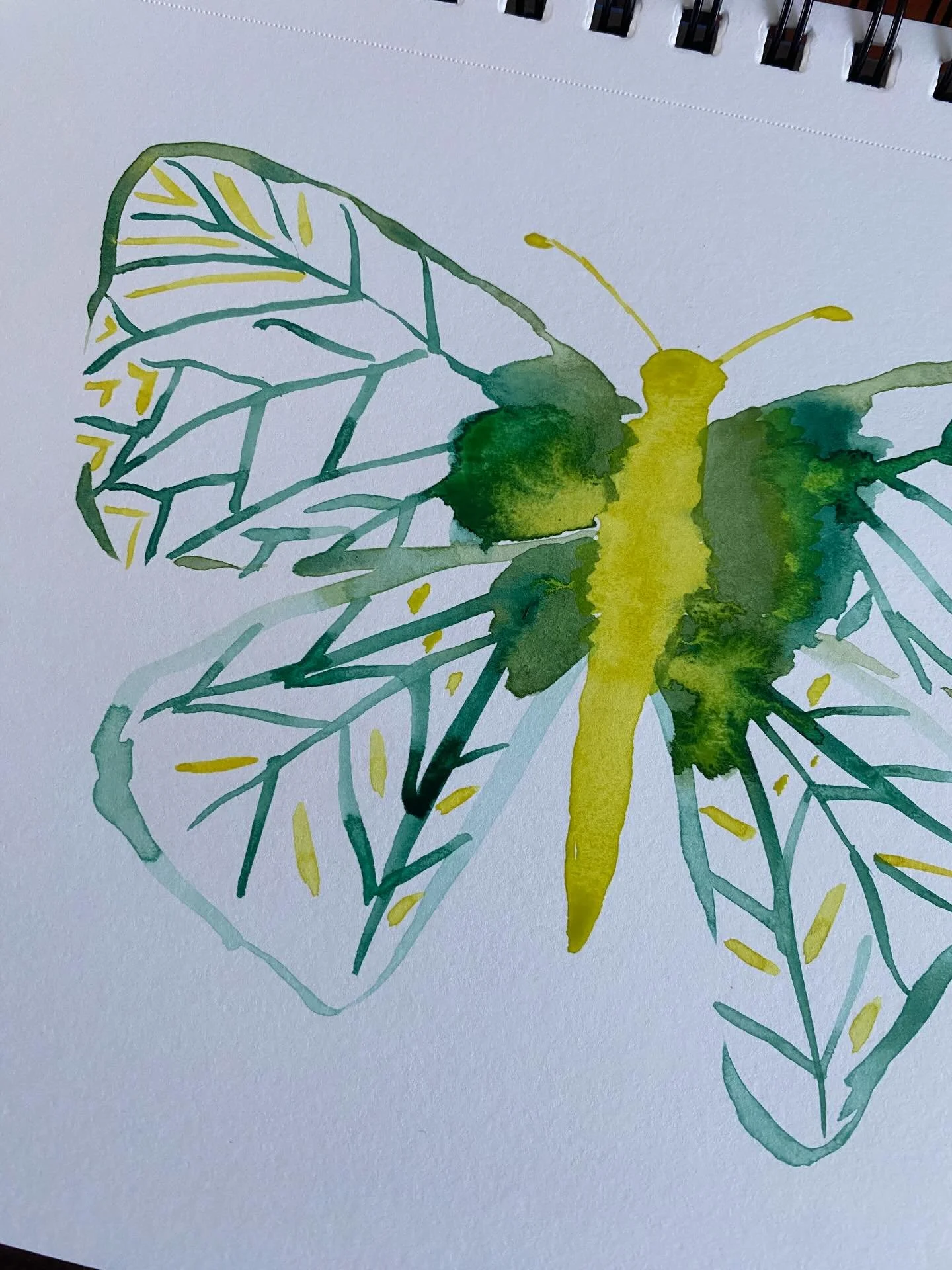 George

Day 28/100
#the100dayproject 
#the100dayproject2026

Each butterfly in this series will be named after a person who was instrumental in transforming my life.

&ldquo;The caterpillar does all the work but the butterfly gets all the publicity.&