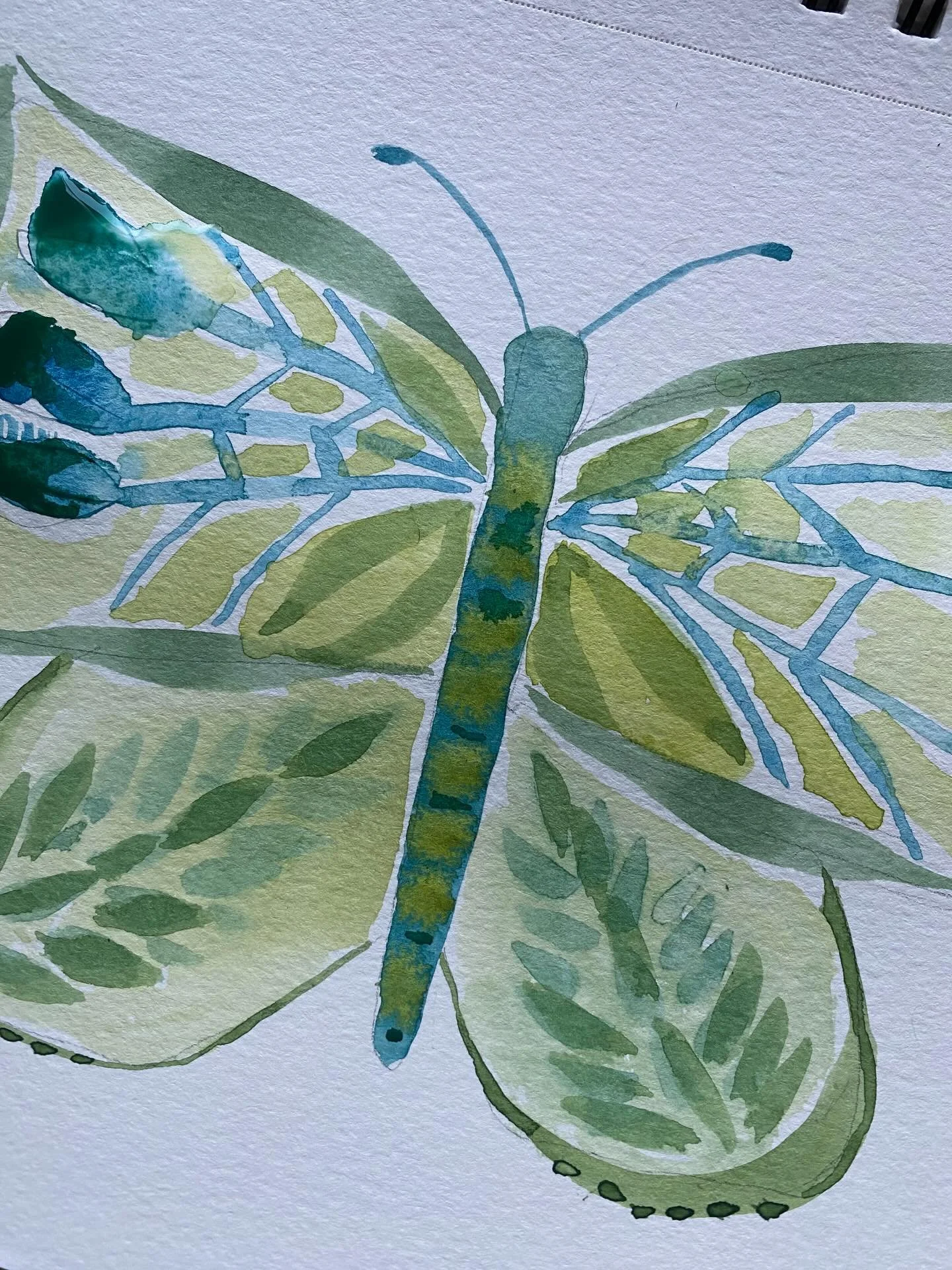 Kelly C

Day 32/100
#the100dayproject 
#the100dayproject2026

Each butterfly in this series will be named after a person who was instrumental in transforming my life.

Today&rsquo;s butterfly is named after Kelly C, a cousin, friend, long-time fan, a