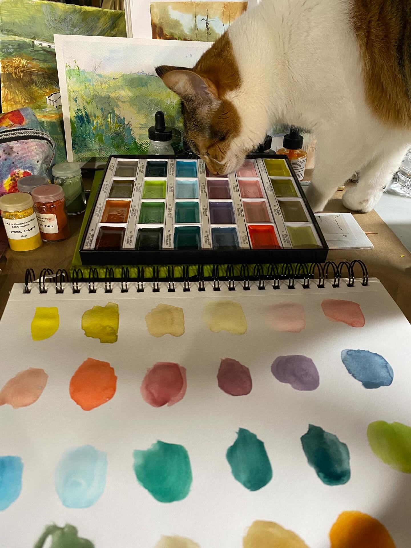 I&rsquo;ve had my eye on this set for quite awhile, and I finally grabbed it last week. I can&rsquo;t wait to try it on some beachy scenes soon. Lola approved!! 

This is the Gansai Tambi Art Nouveau set of 24 by Kuretake. The colors are soft, muted 