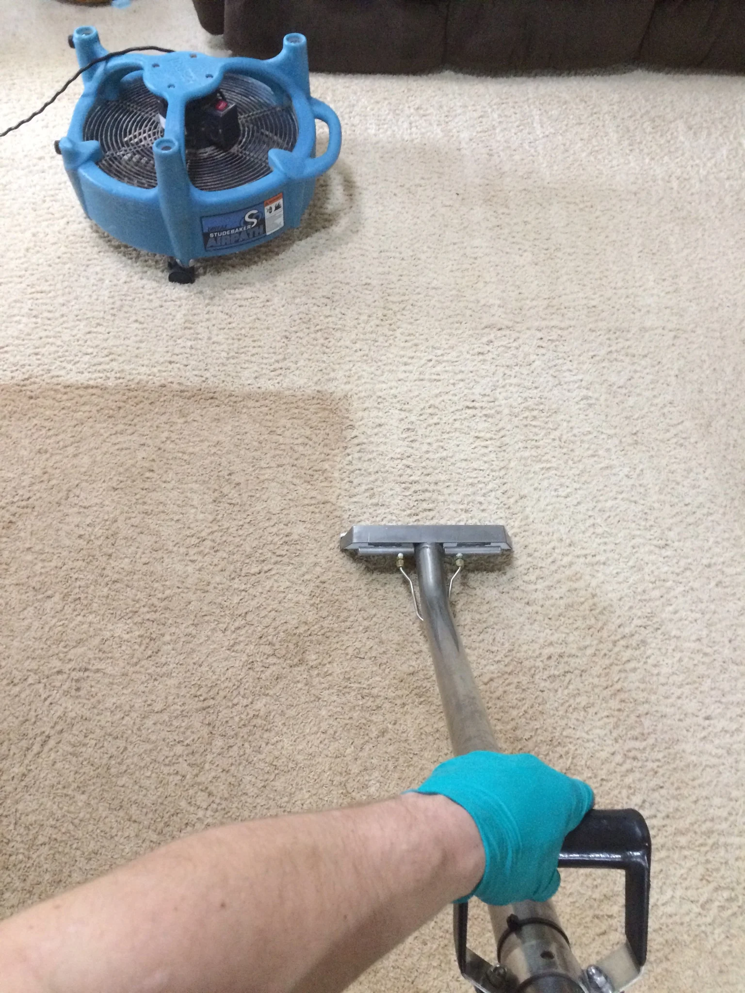 Carpet1.jpeg