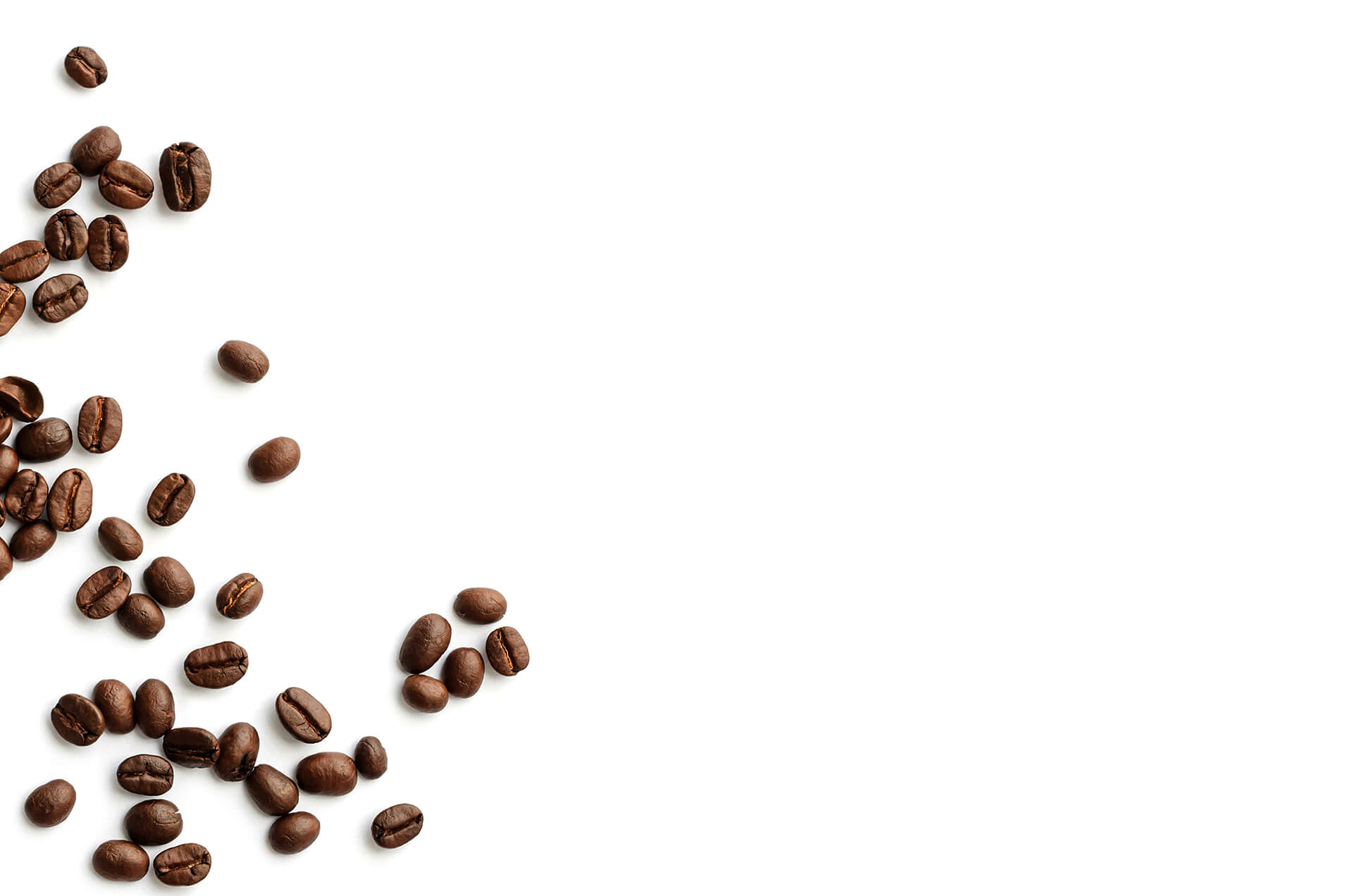 beans-background.jpg