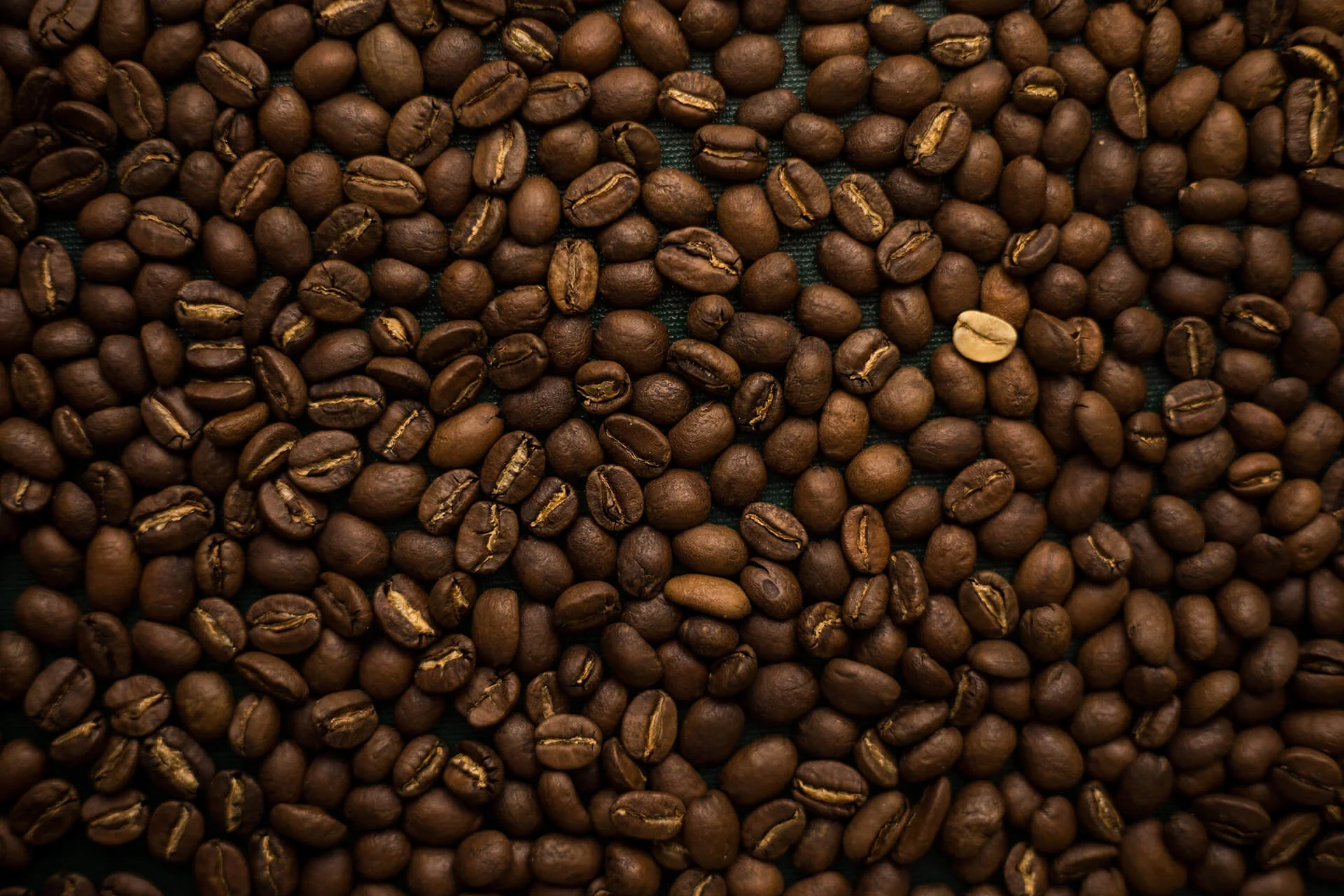 therebelbean.jpg