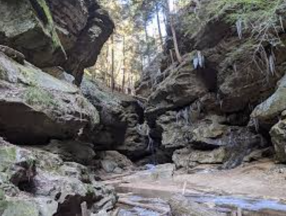 Screenshot 2026-03-25 at 1.51.47 PM.png