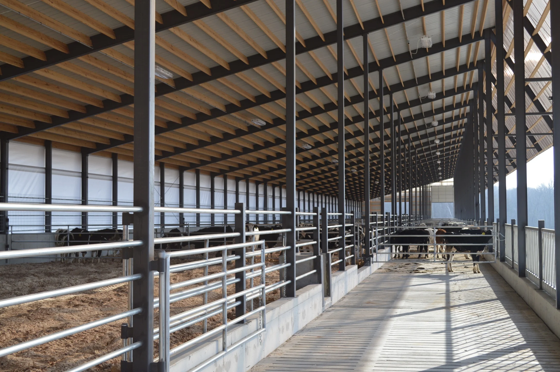 TAUCHEN HARMONY VALLEY INC 