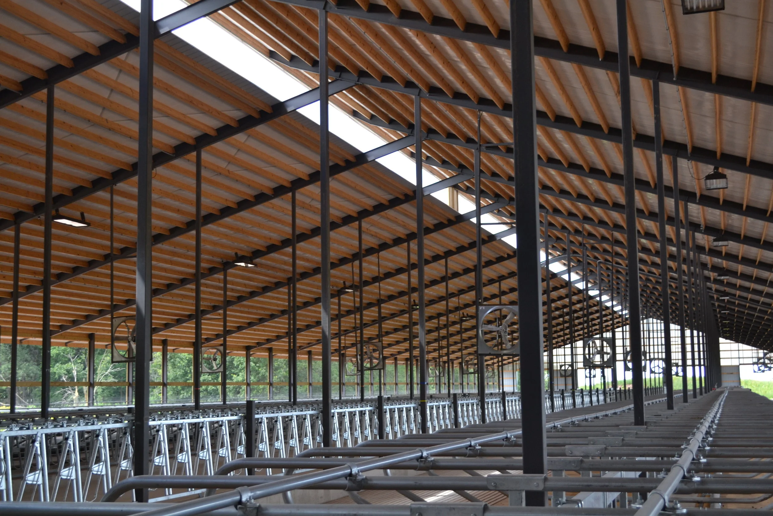 Meadowlark Dairy Young Stock & Dry Cow Barn Bayland Buildings, Inc