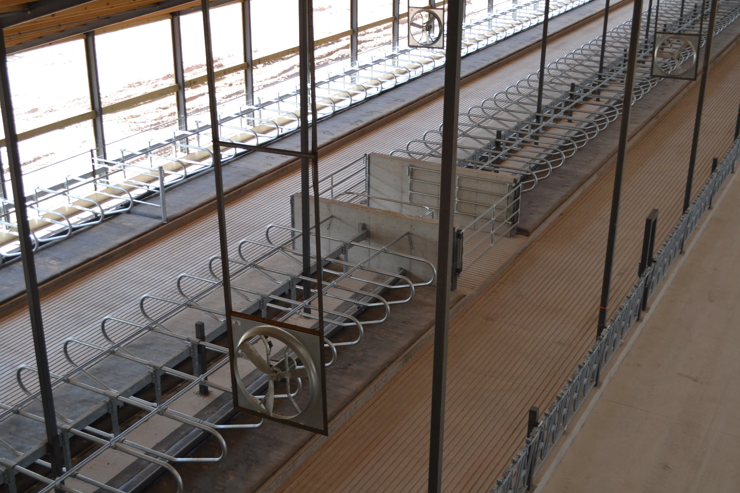 Meadowlark Dairy Young Stock & Dry Cow Barn Bayland Buildings, Inc