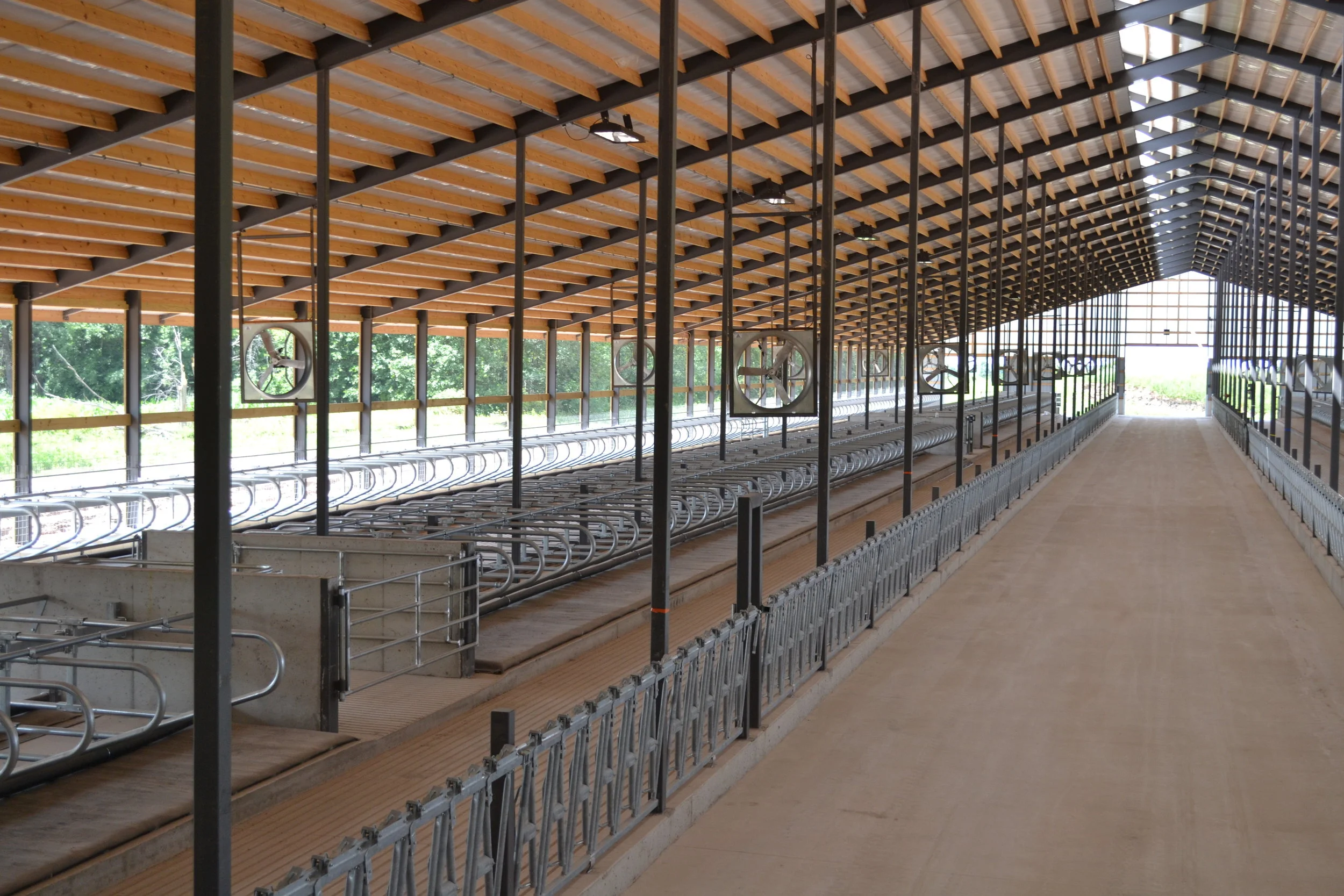 MEADOWLARK DAIRY YOUNG STOCK &amp; DRY COW BARN