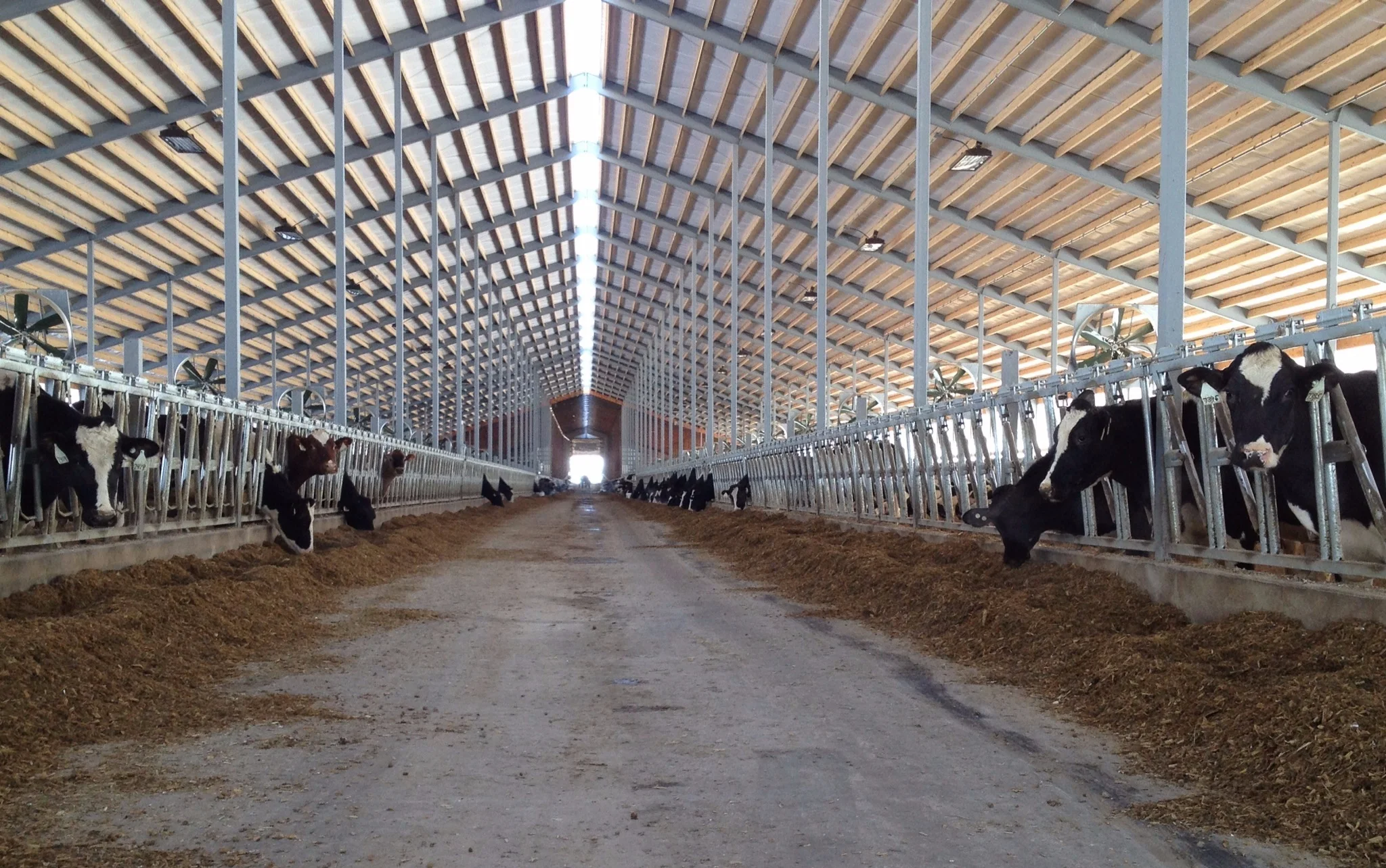 CHRISTIAN HILL DAIRY FREESTALL AND PARLOR EXPANSION 