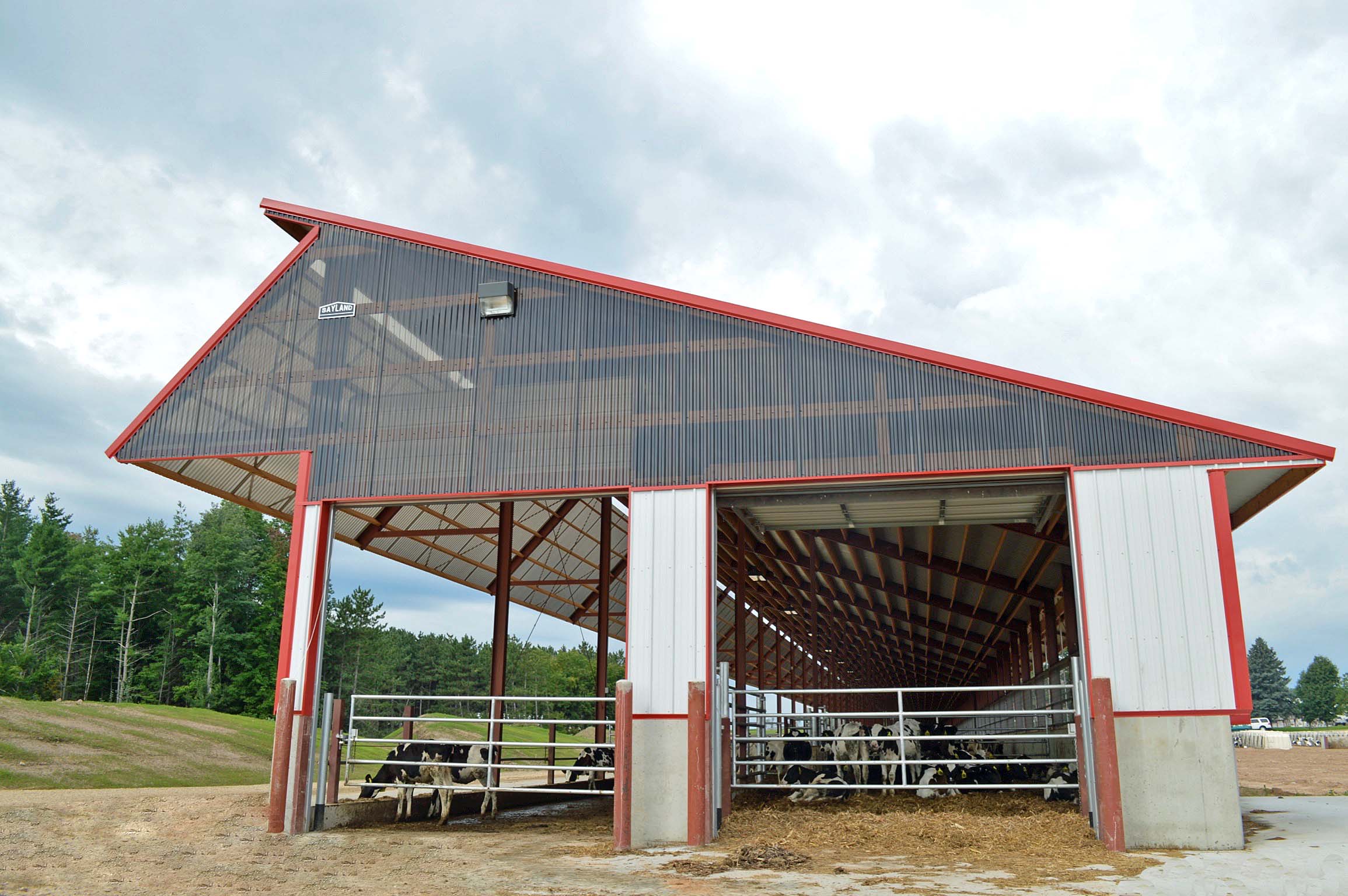 BOB ZAHN HEIFER BARN