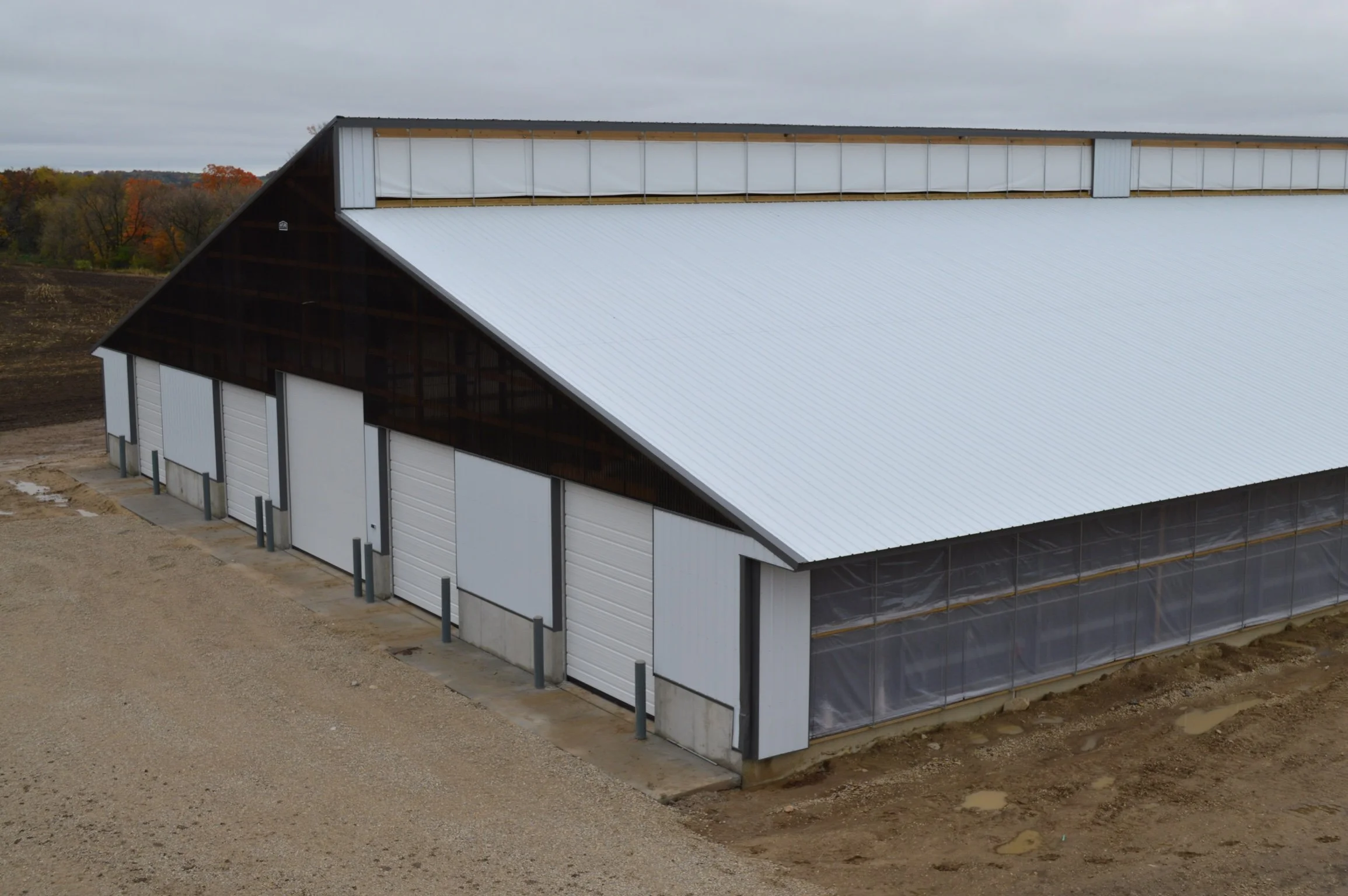 Natural Ventilated Freestall Barn