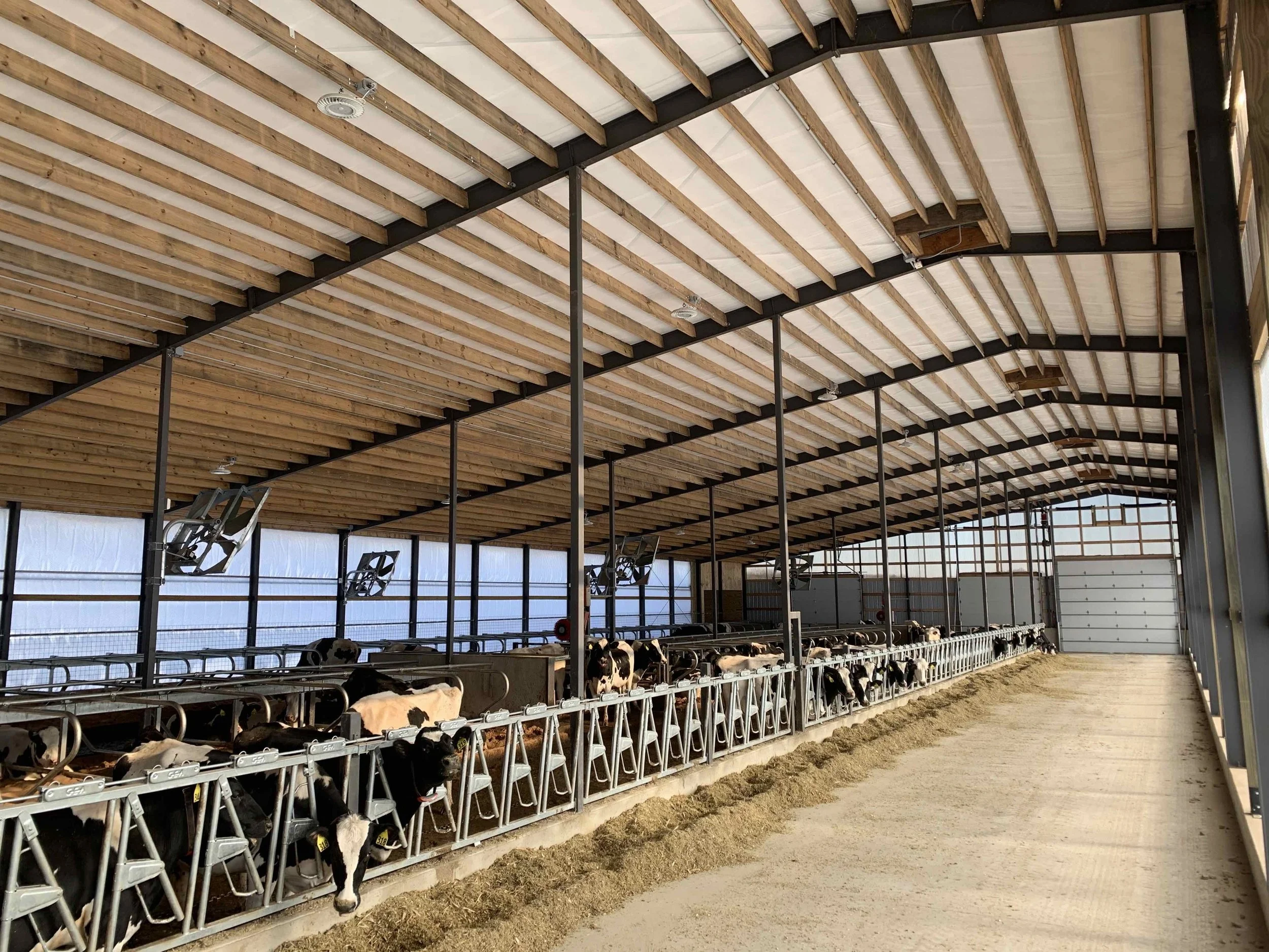 Natural Ventilated Robot Barn - Shawano — Bayland Buildings