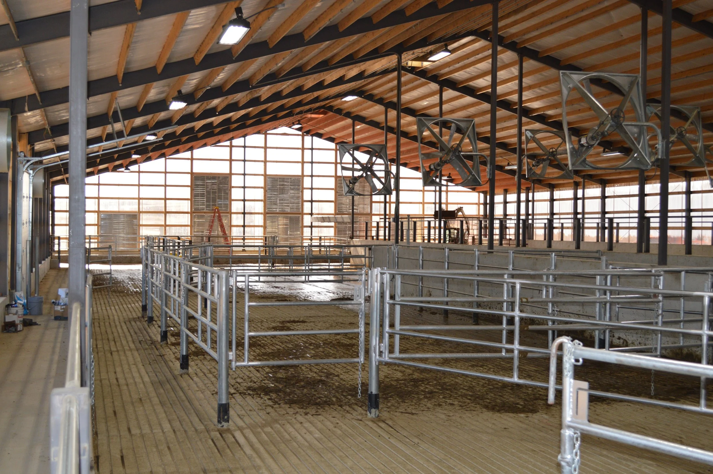 12-Row Cross Ventilated Freestall Barn