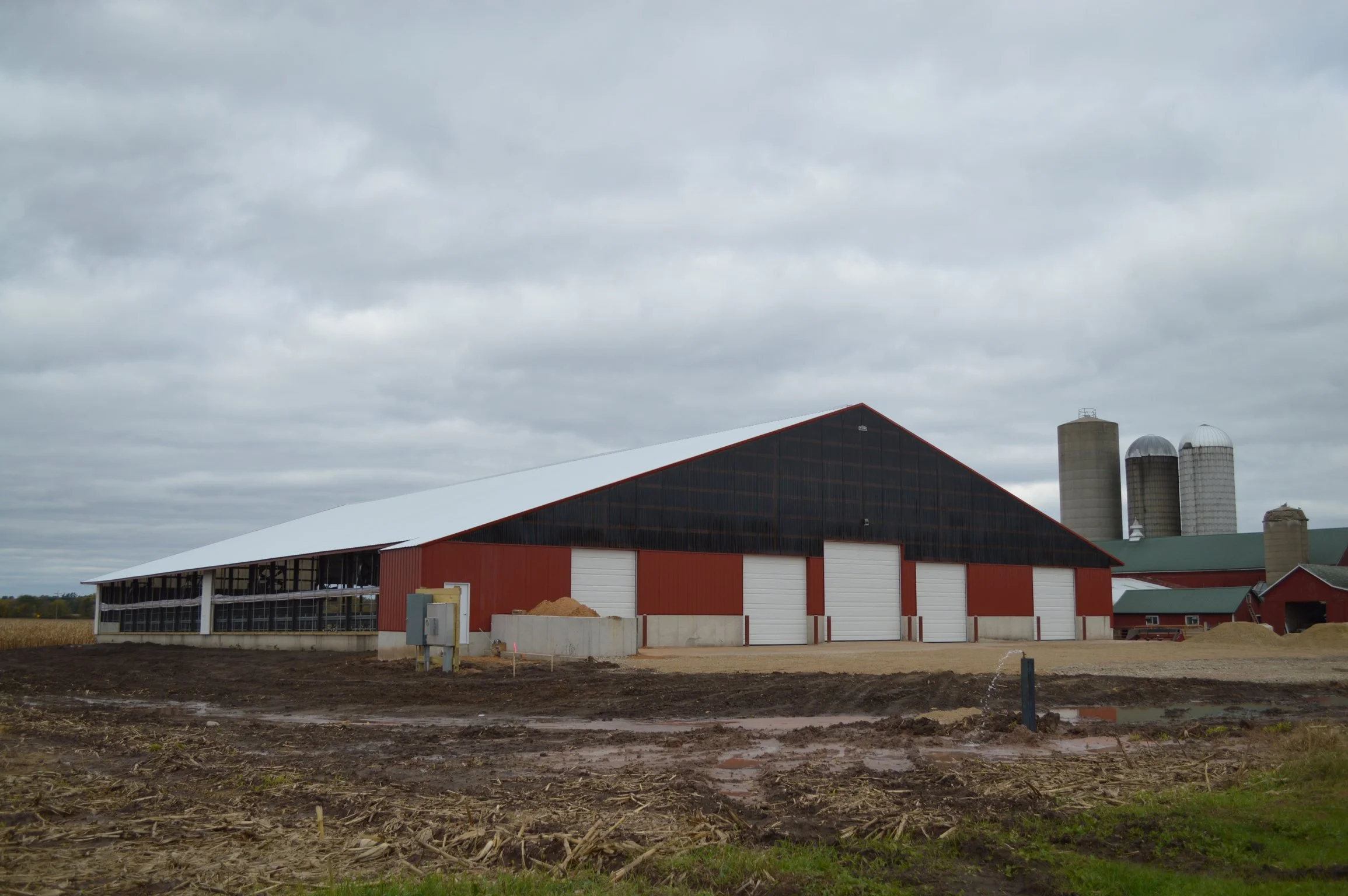 6-Row Natural Ventilated Freestall Barn 