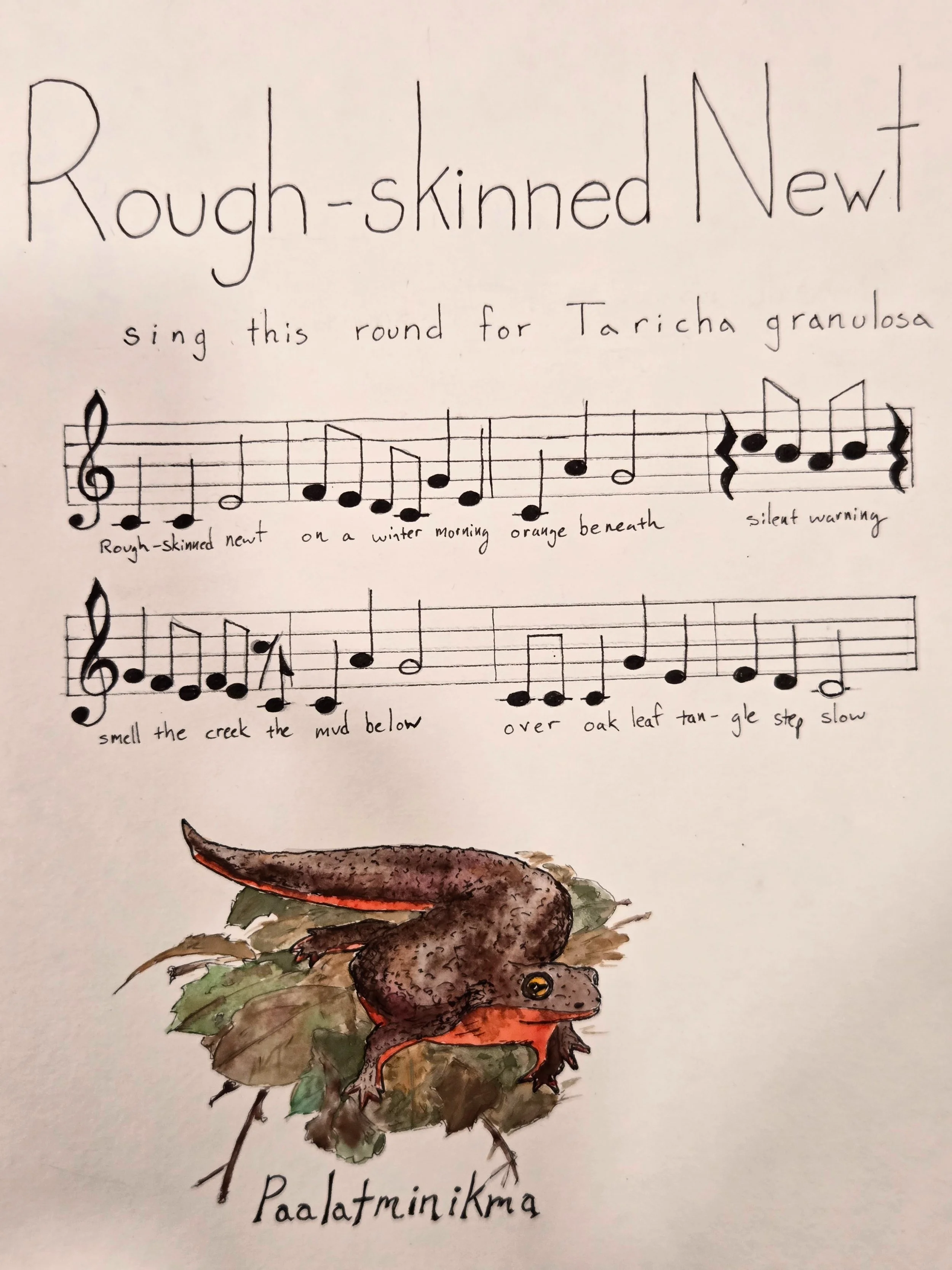   Jonathan Curley    Rough-skinned Newt , 2026  Pen, watercolor, music   Description:  The song and art work are about the rough-skinned newt,  Taricha granulosa , or Paalatminkma (in Chochenyo Ohlone), one of my favorite local amphibians to come acr