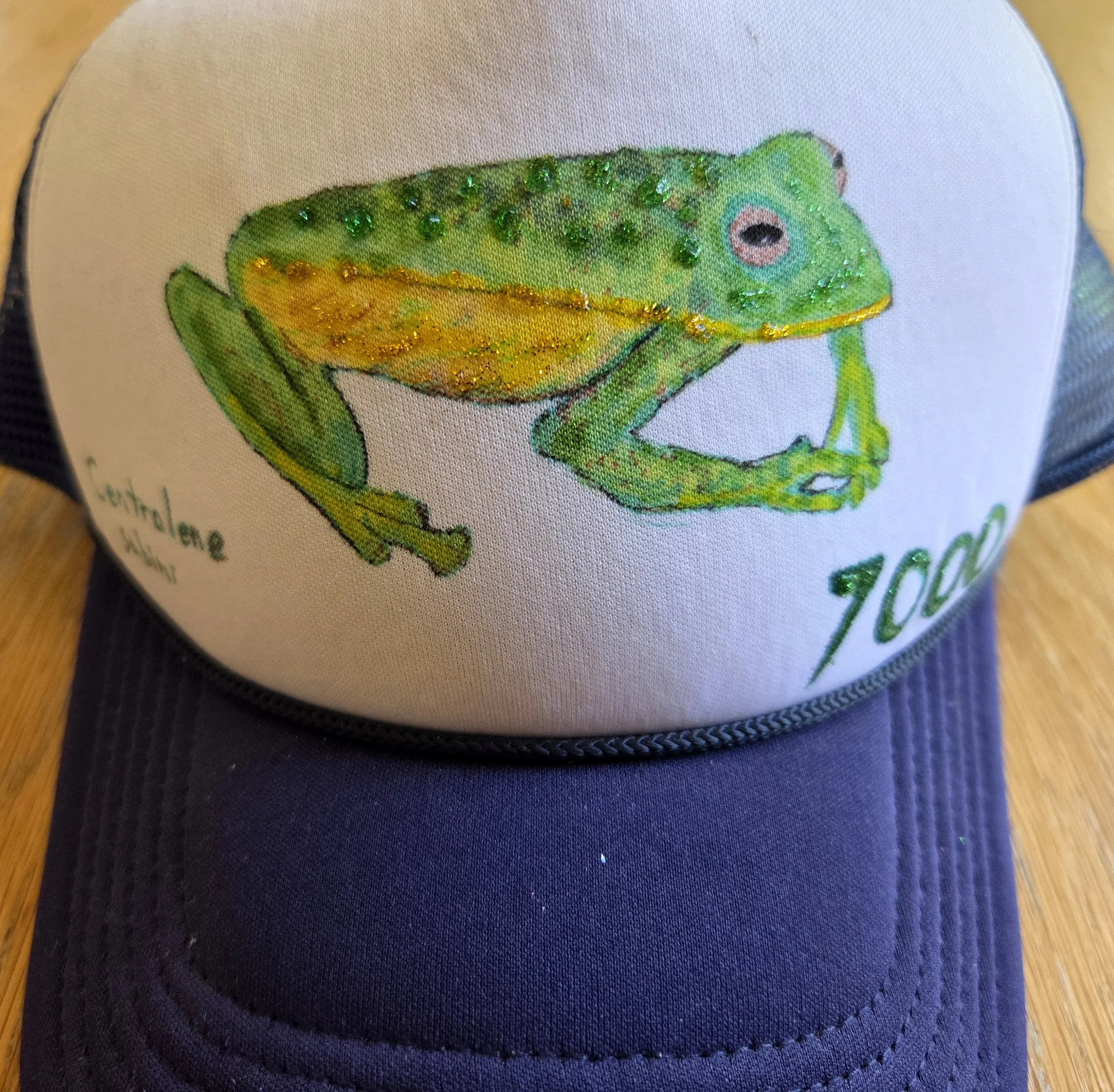   Jonathan Curley    7000th Amphibian , 2026  Markers, glitter, hat   Description:  This hat celebrates the 7000th amphibian species discovered-  Centrolene sabini !   Artist background:   curleycurlewart.blogspot.com  