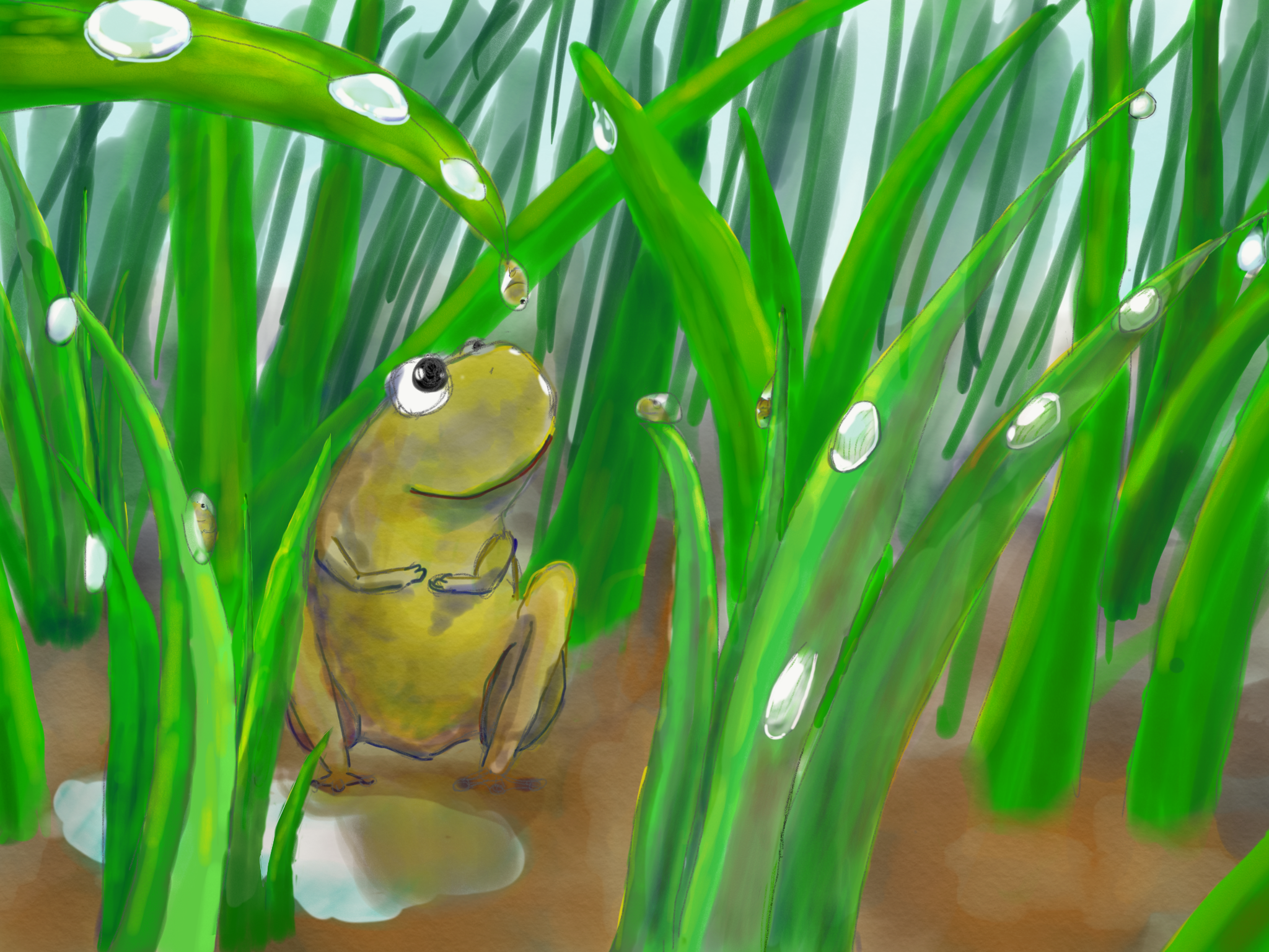   Bill Yen    Dewy Morning , 2018  Procreate on iPad   Description:  Frog with dew.   Artist background:  My art portfolio can be found on here:  https://photos.app.goo.gl/5v99VyWBUHAcq2Ub9  