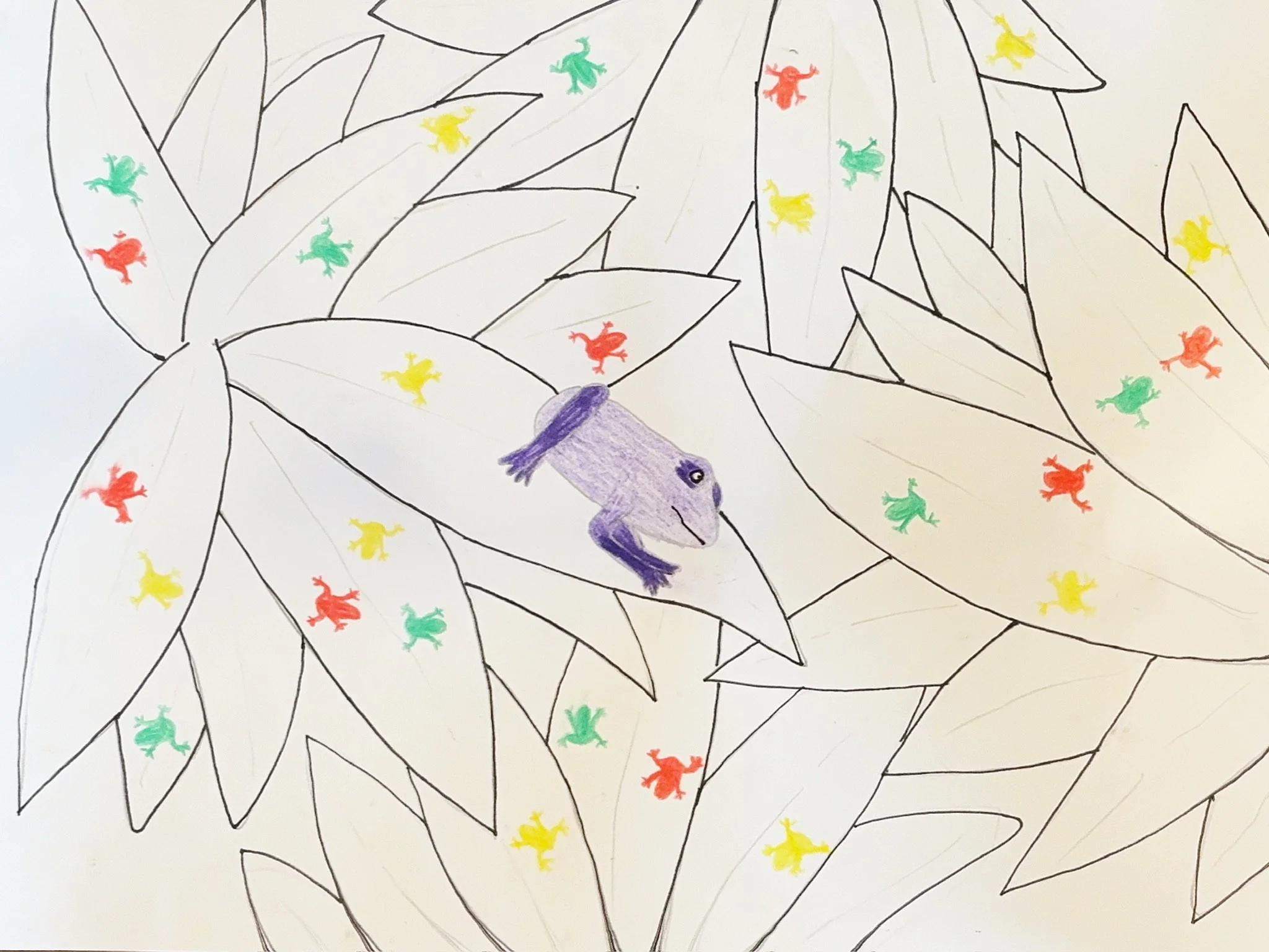   Elliot  (8 years old)   Frog Party , 2026  pencils, pen, paper   Description:  My drawing is called Frog Party because there are twenty-eight frogs. All the small ones are colorful because they're poisonous. I made the background black and white to