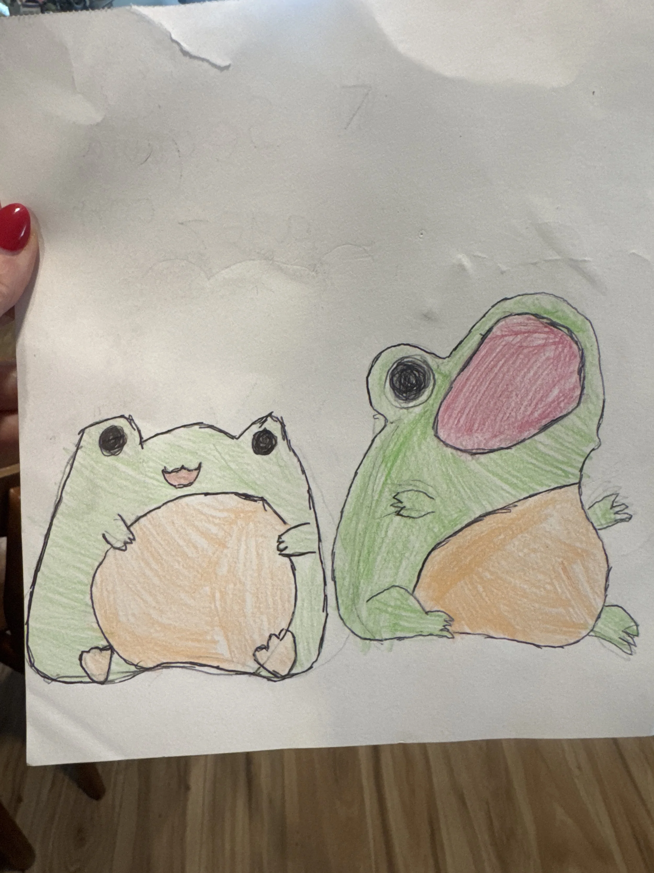  Rachel Cotroneo    Untitled , 2026  Pencil paper and colored pencils   Description:  Rachel is a biologist who studies and loves frogs. Here is a pencil drawing of a close up image of a frog with colored pencils. 