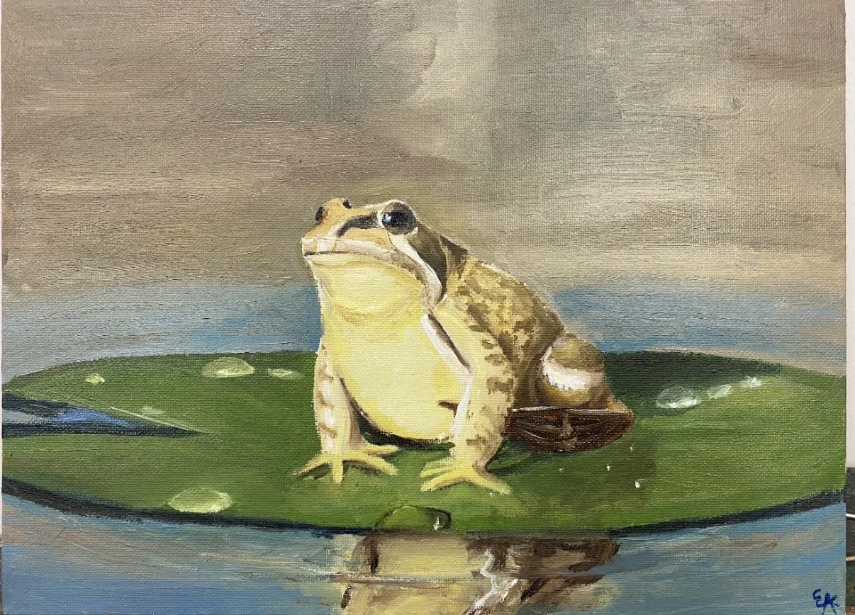   Ella Akin    Frog , 2025  Oil painting   Description:  This painting is of a Common Frog. I just think they're neat! 