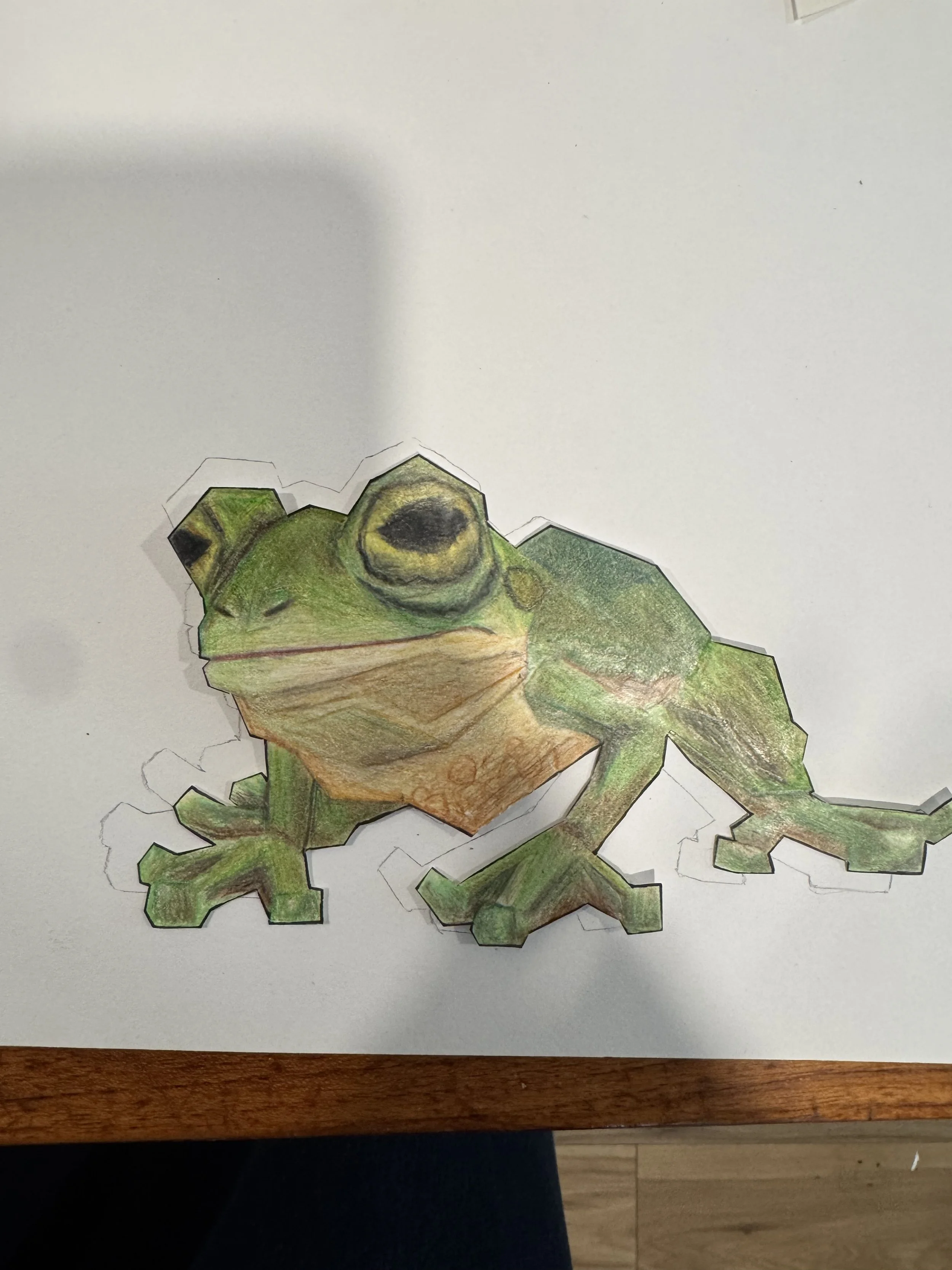   Cyrus  (13 years old)   Hella frog , 2016  Paper pencil colored pencils tape   Description:  Frogs are beautiful and art of them can bring people joy 