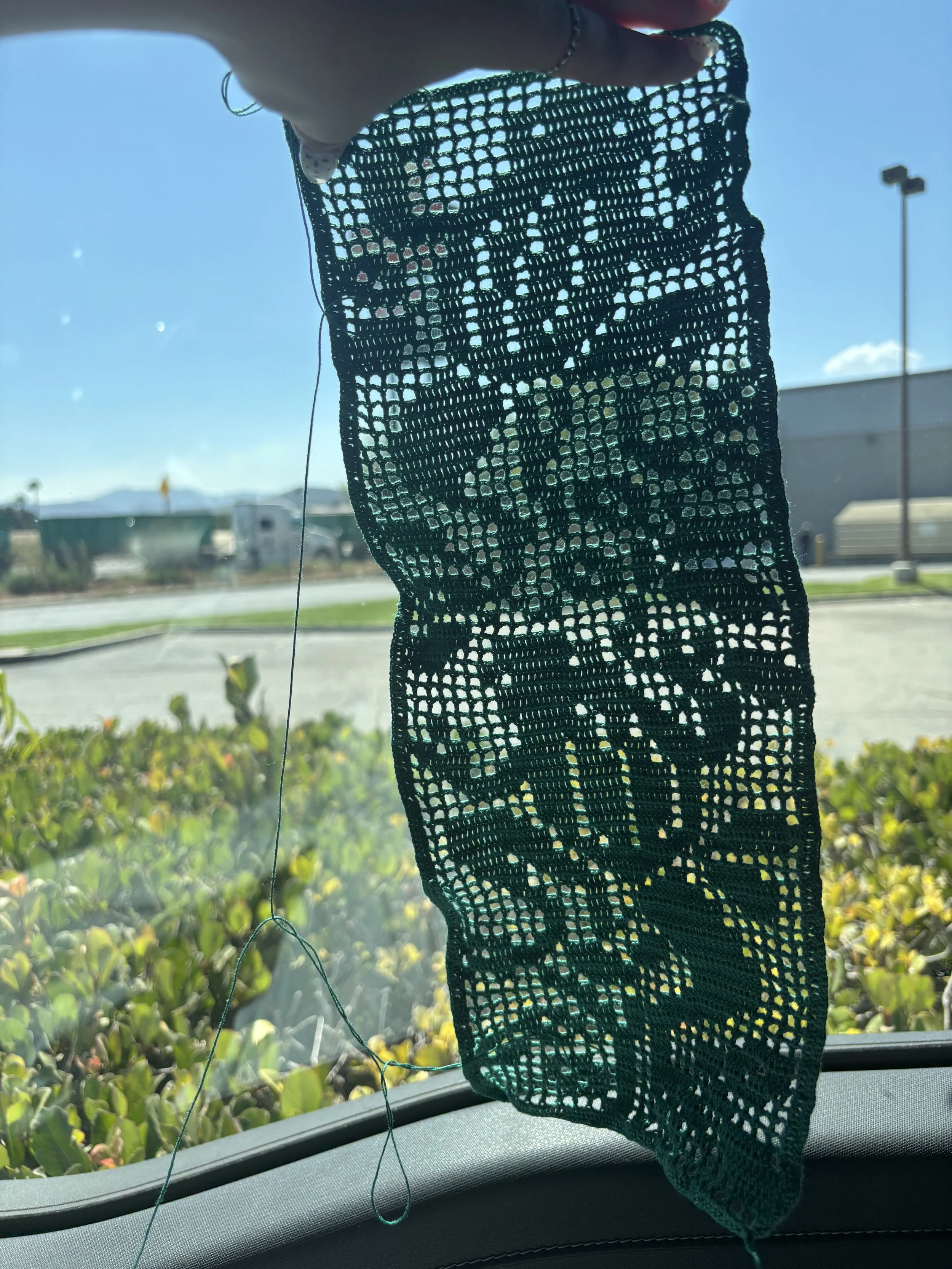   Vivian Bell    Froject (Frog Project) , 2026  Yarn   Description:  This filet crochet piece features two frogs happily frolicking amongst leaves.   Artist background:  These types of artwork are kind of like impressionist paintings; they need to be